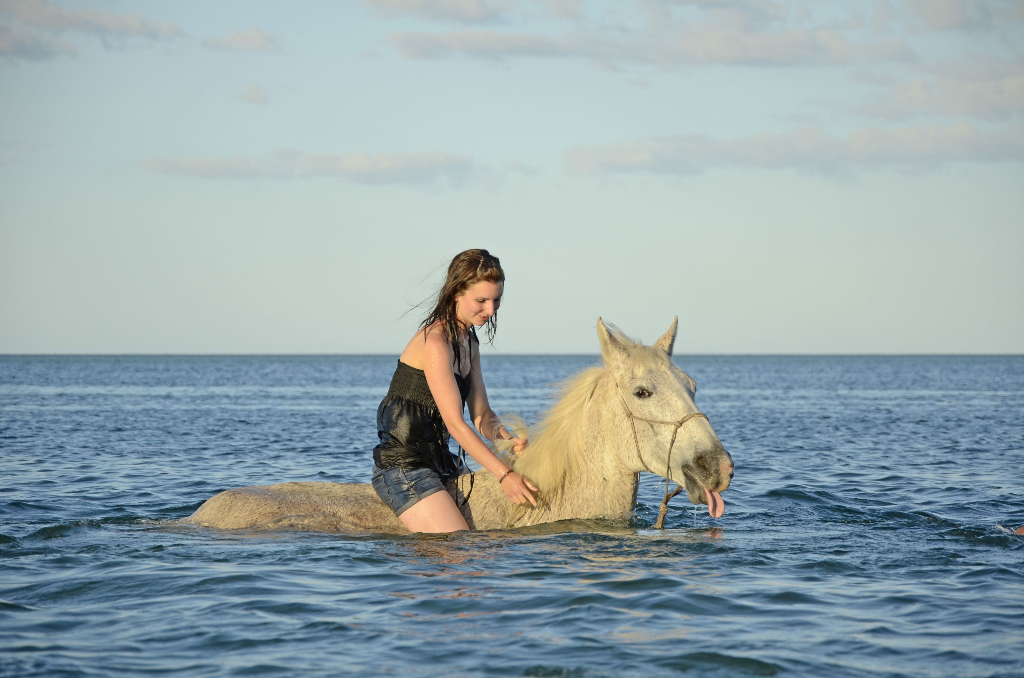 African Paradise - horseXperiences™ GO EQUESTRIAN