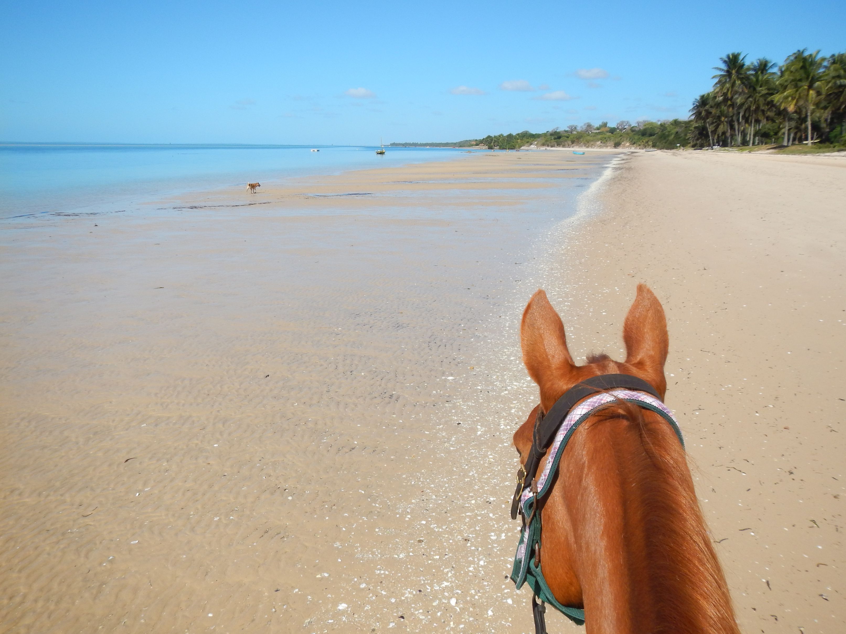 African Paradise - horseXperiences™ GO EQUESTRIAN