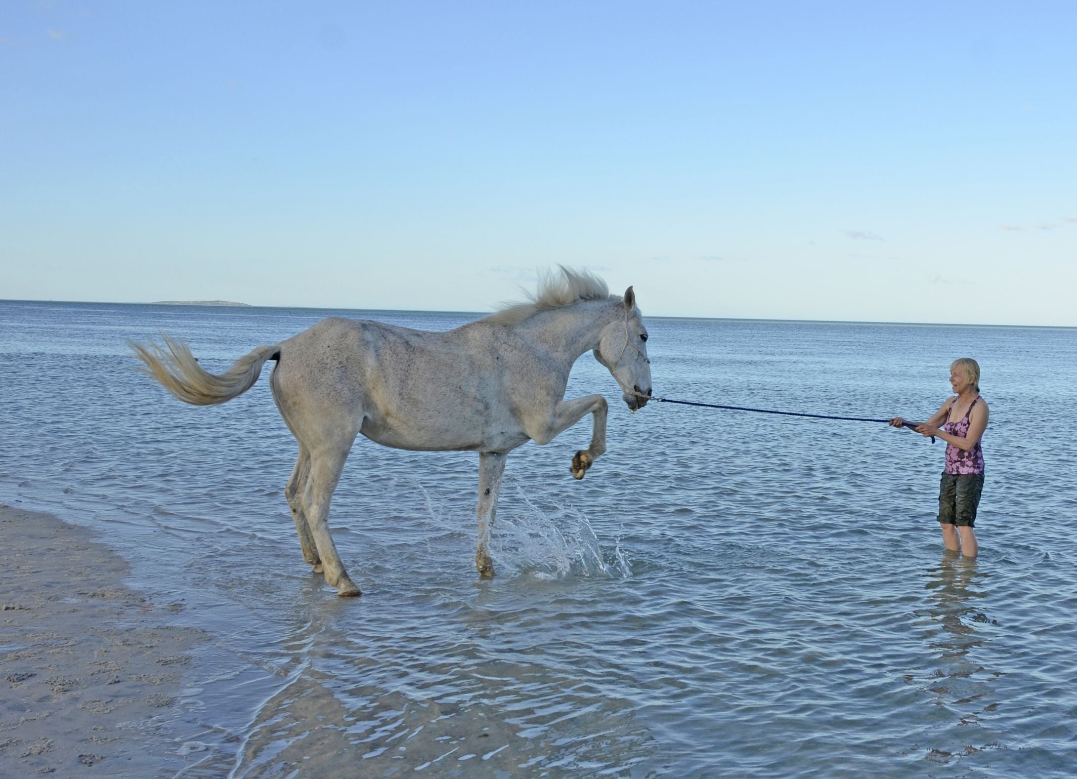 African Paradise - horseXperiences™ GO EQUESTRIAN