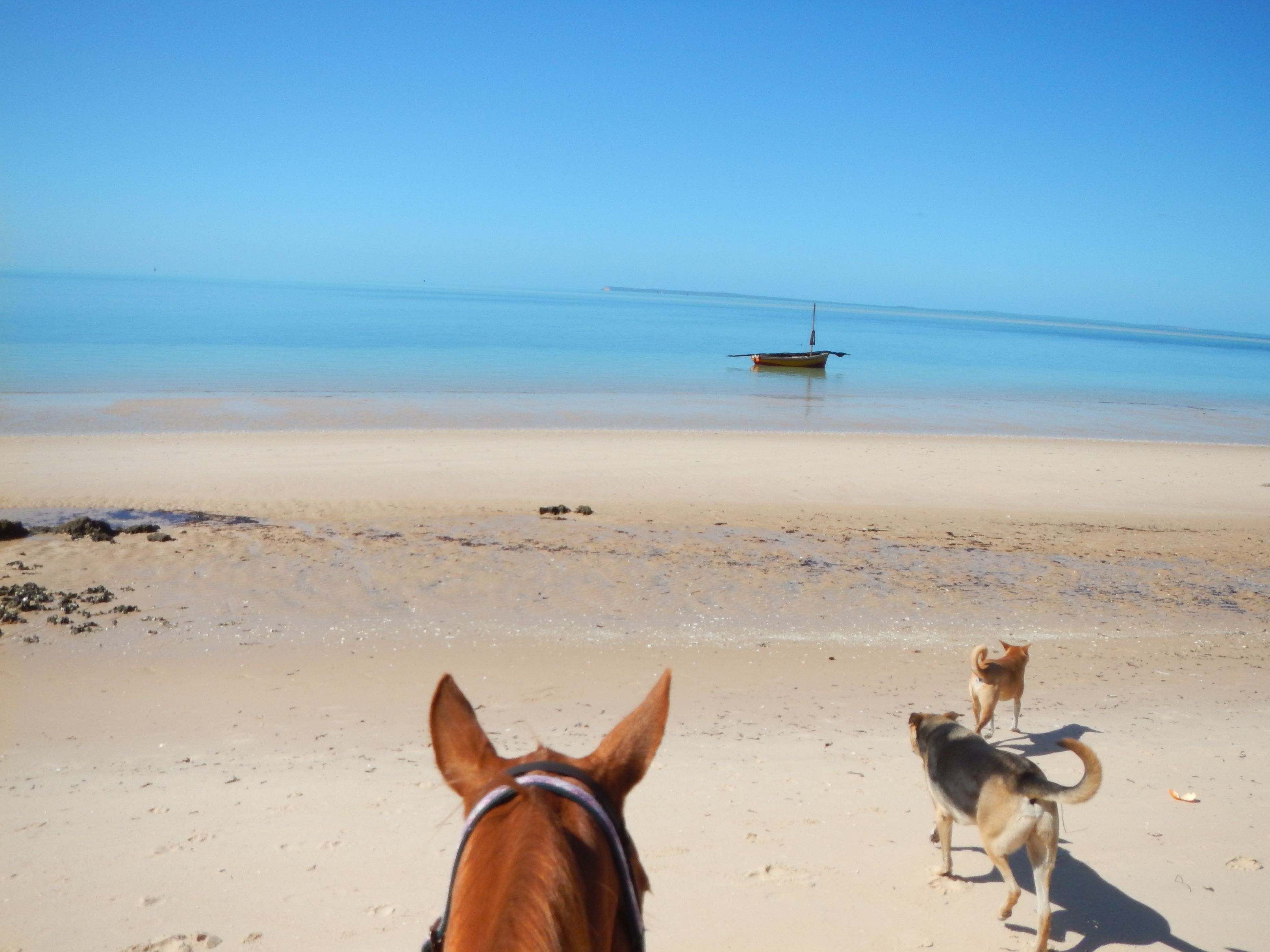 African Paradise - horseXperiences™ GO EQUESTRIAN