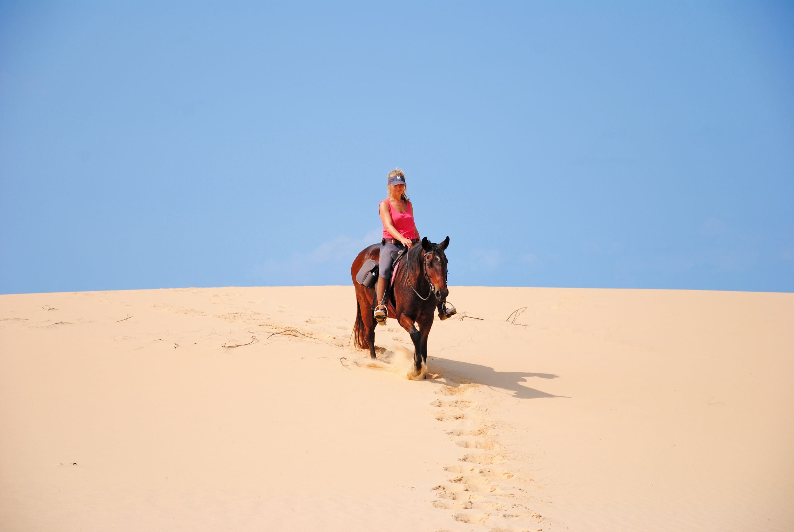 African Paradise - horseXperiences™ GO EQUESTRIAN