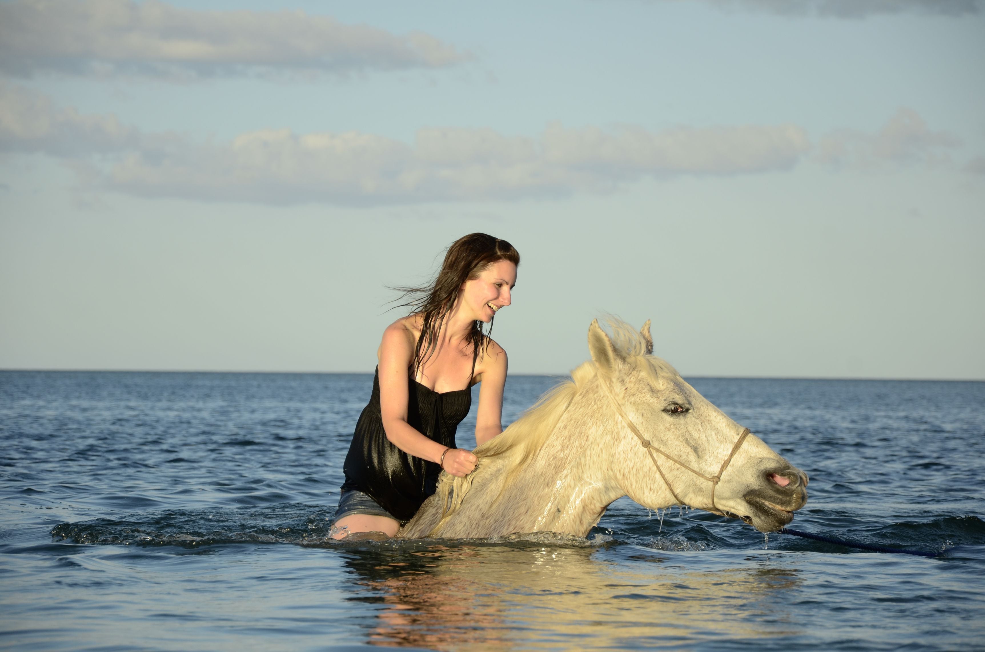 African Paradise - horseXperiences™ GO EQUESTRIAN