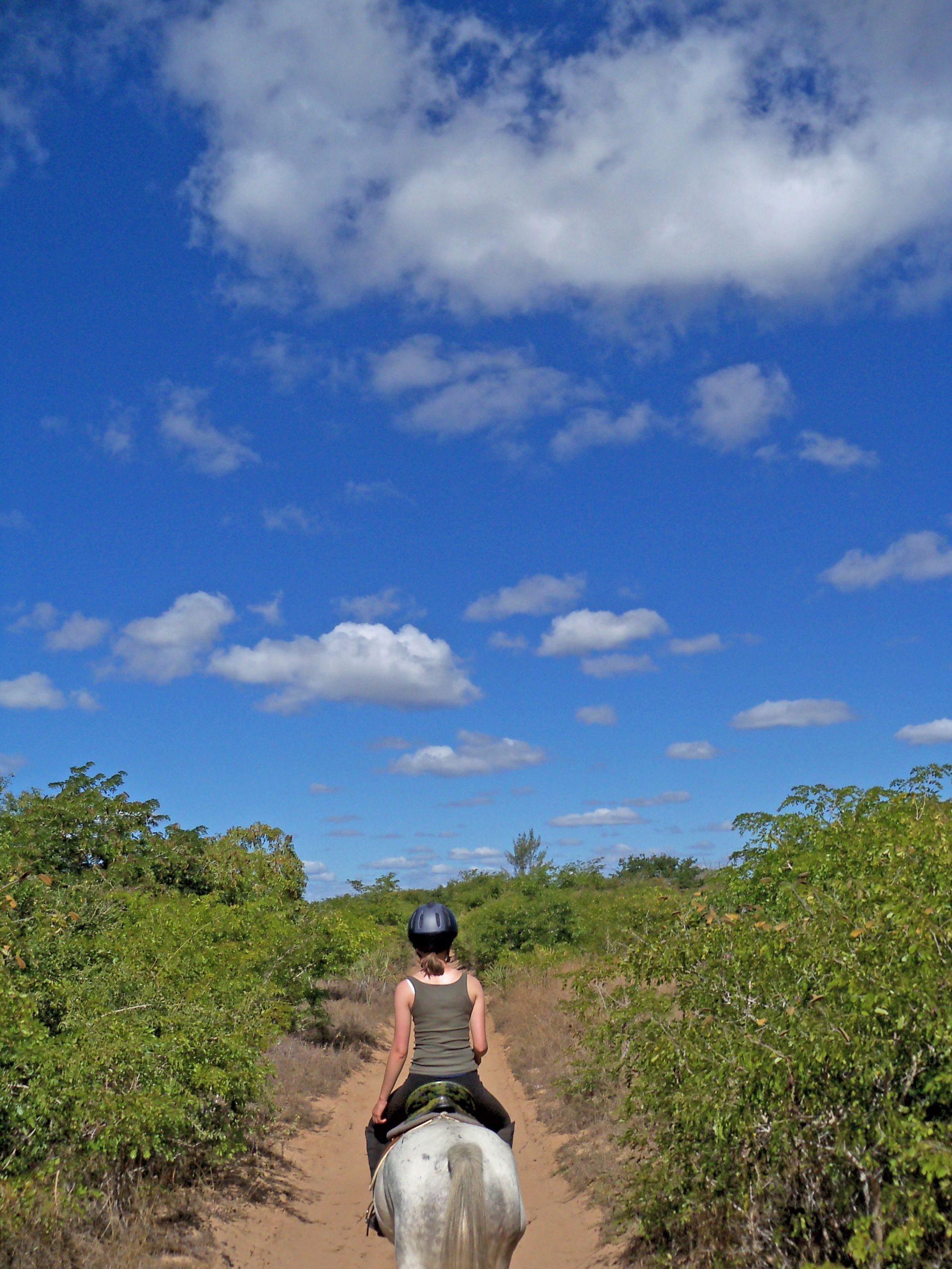 African Paradise - horseXperiences™ GO EQUESTRIAN