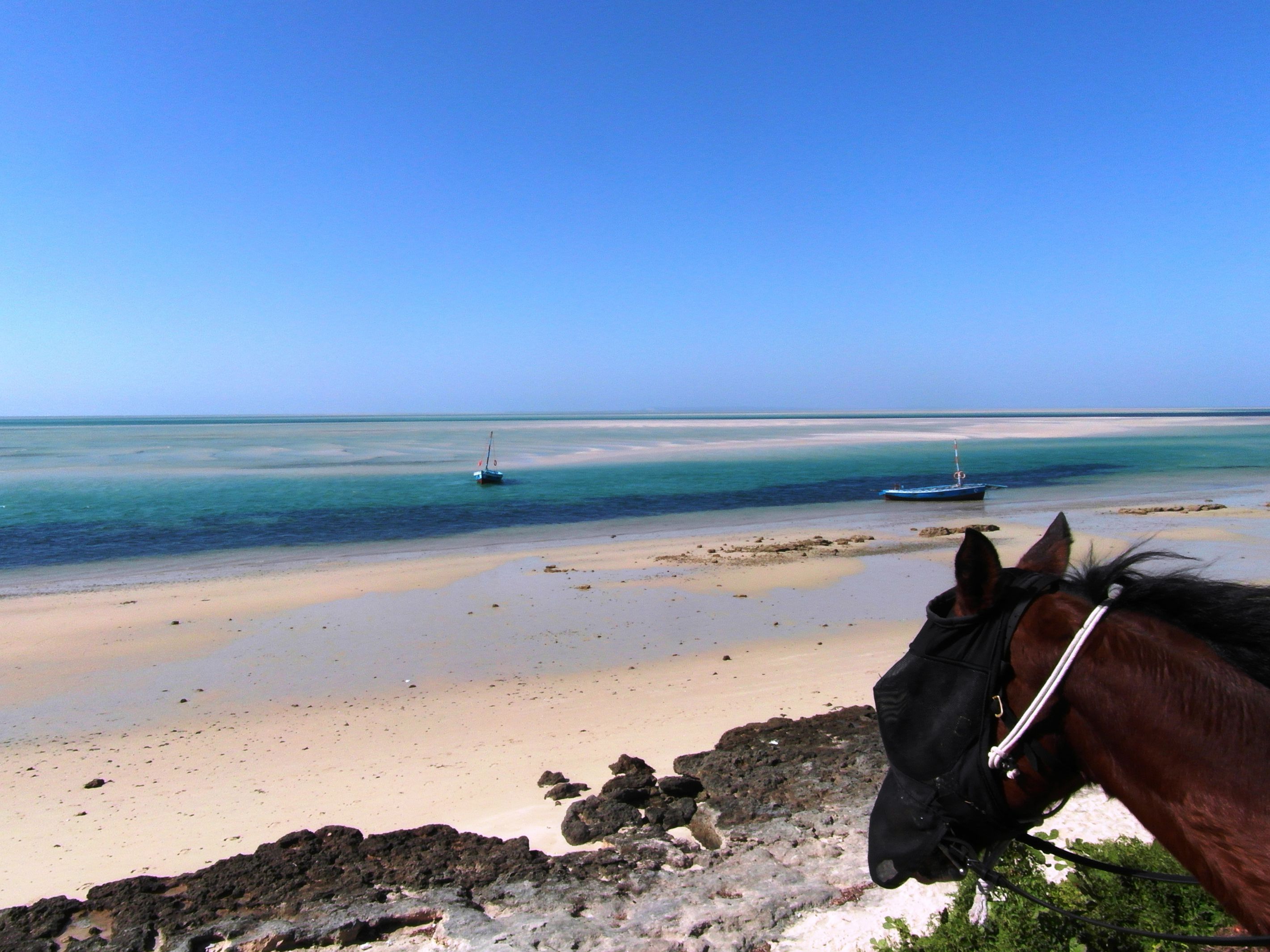 African Paradise - horseXperiences™ GO EQUESTRIAN