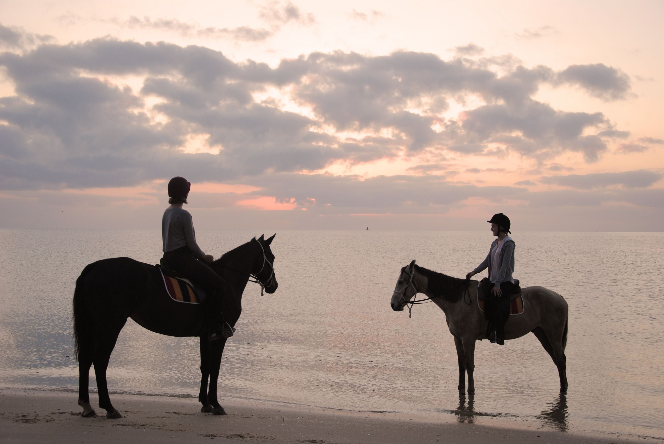 African Paradise - horseXperiences™ GO EQUESTRIAN