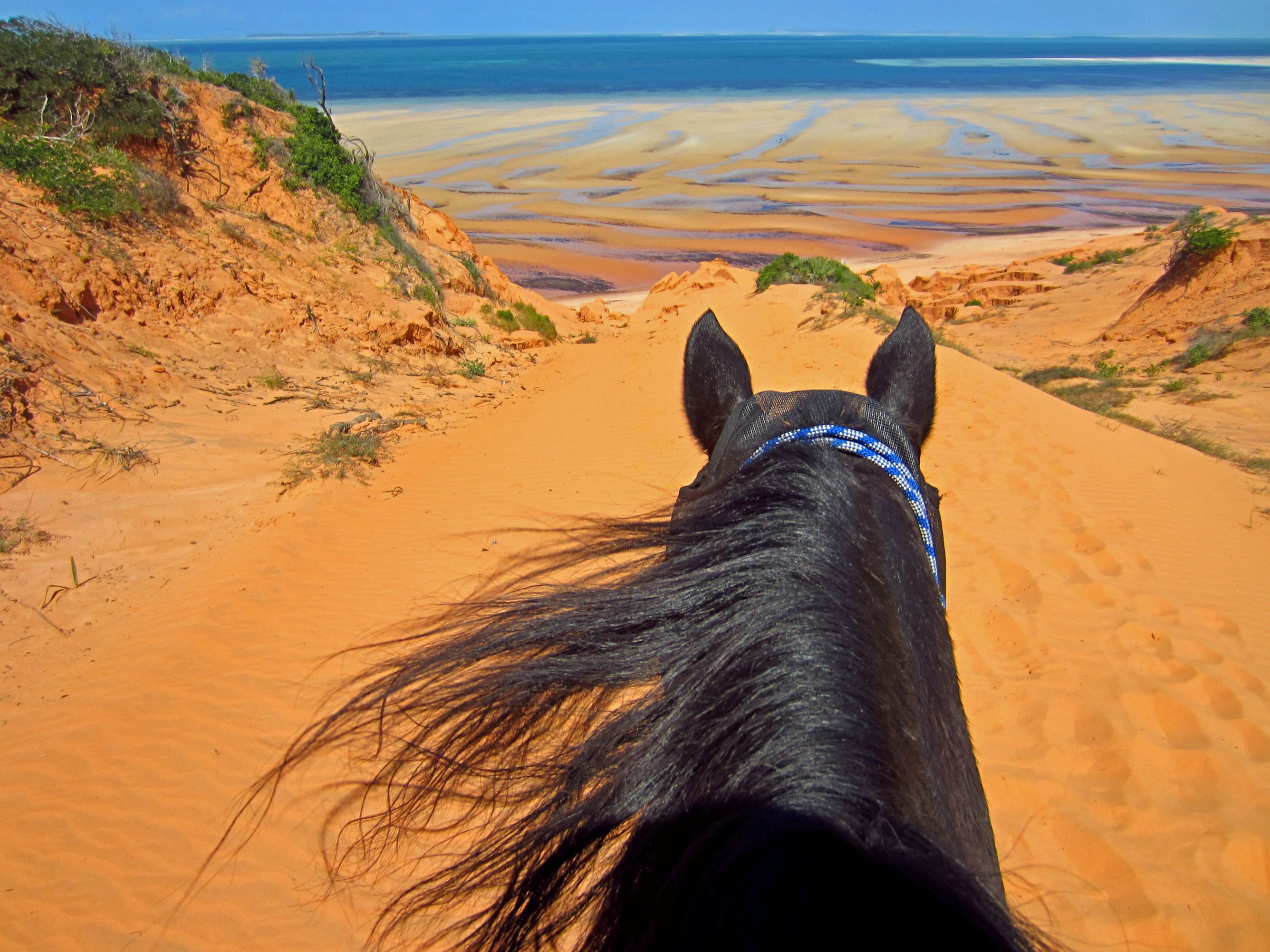 African Paradise - horseXperiences™ GO EQUESTRIAN