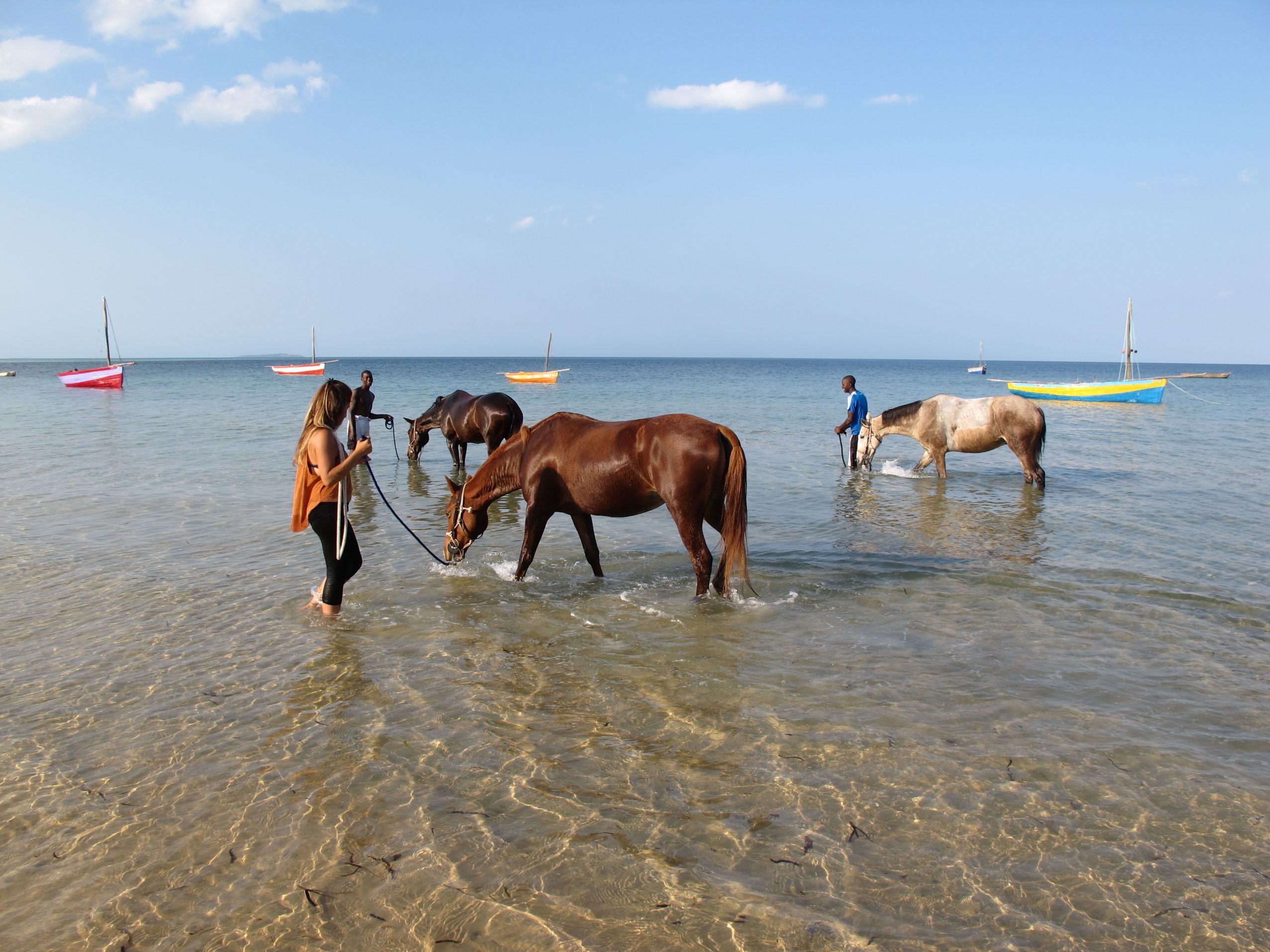 African Paradise - horseXperiences™ GO EQUESTRIAN