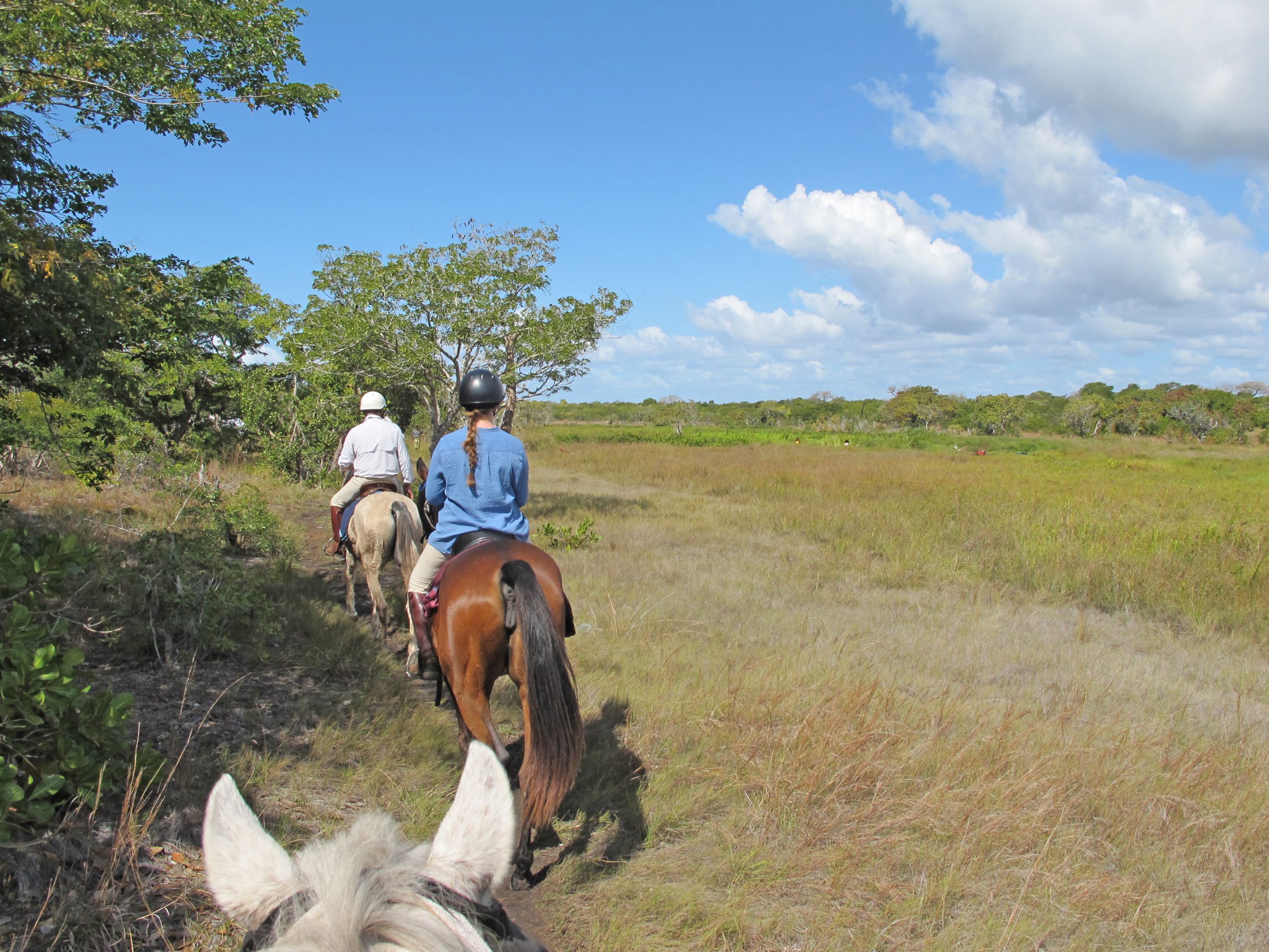 African Paradise - horseXperiences™ GO EQUESTRIAN