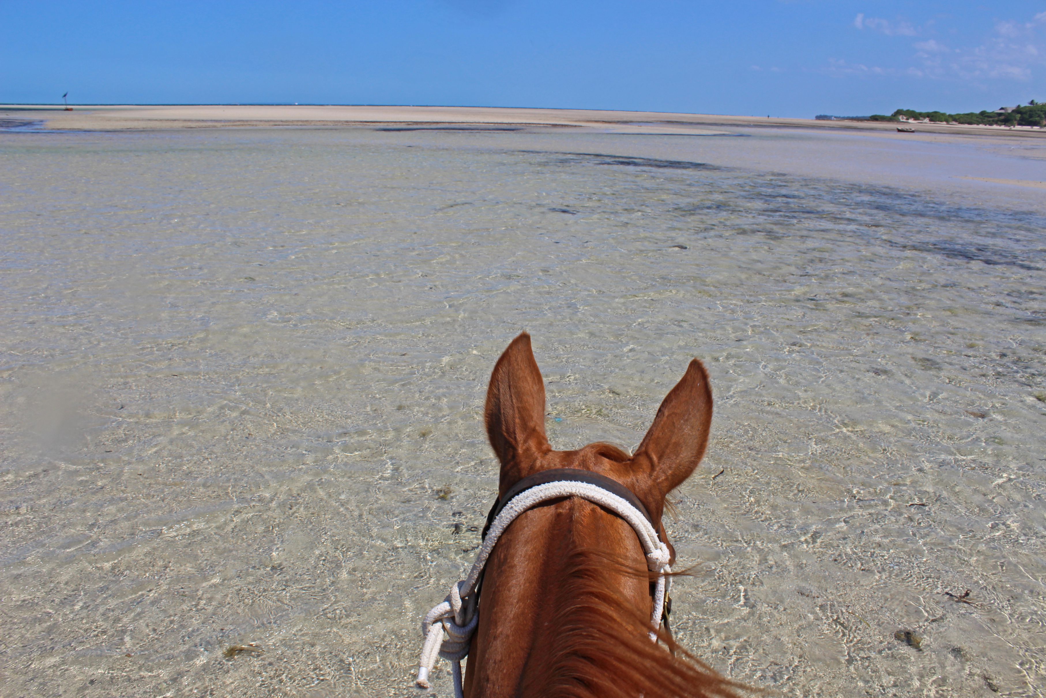 African Paradise - horseXperiences™ GO EQUESTRIAN