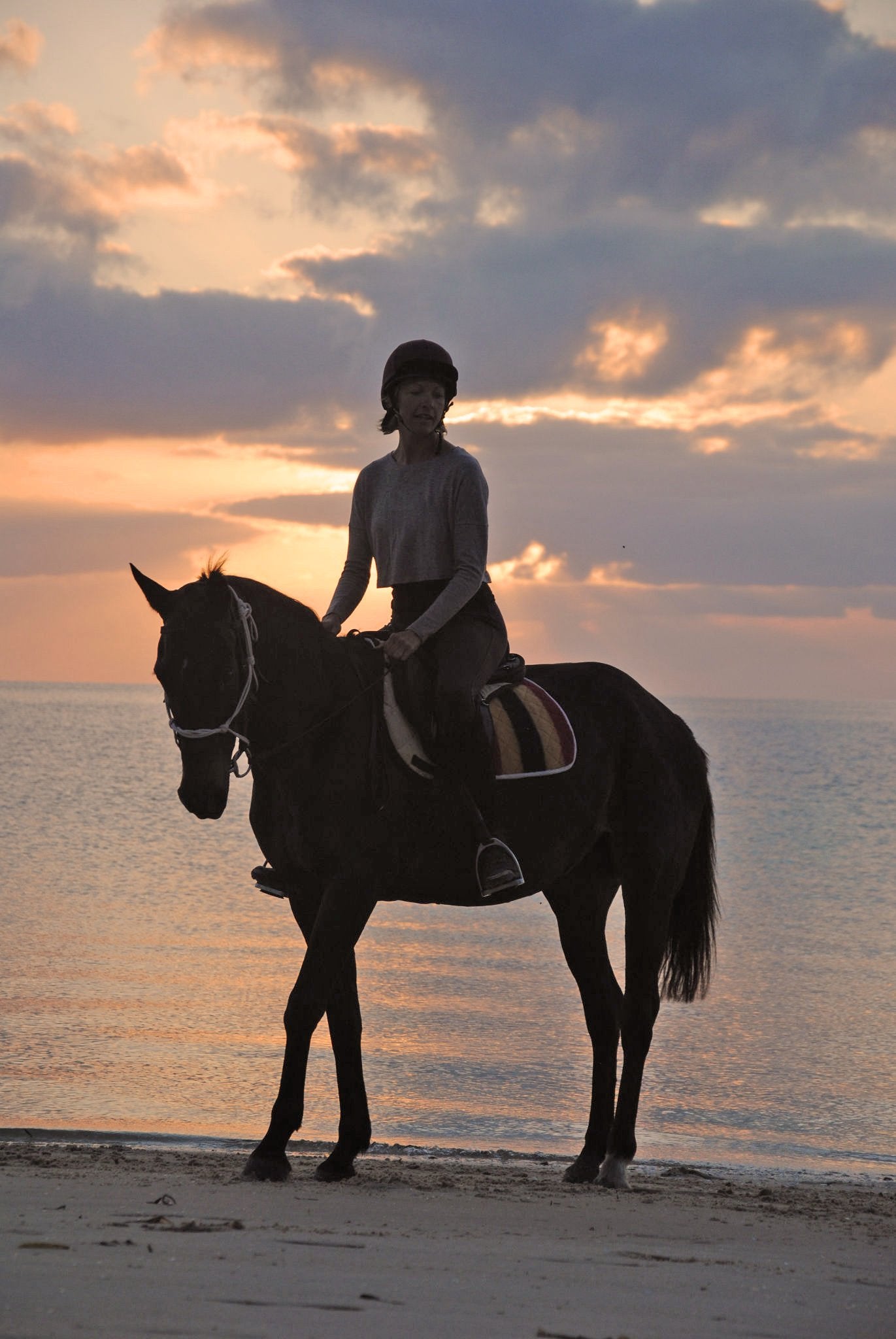 African Paradise - horseXperiences™ GO EQUESTRIAN