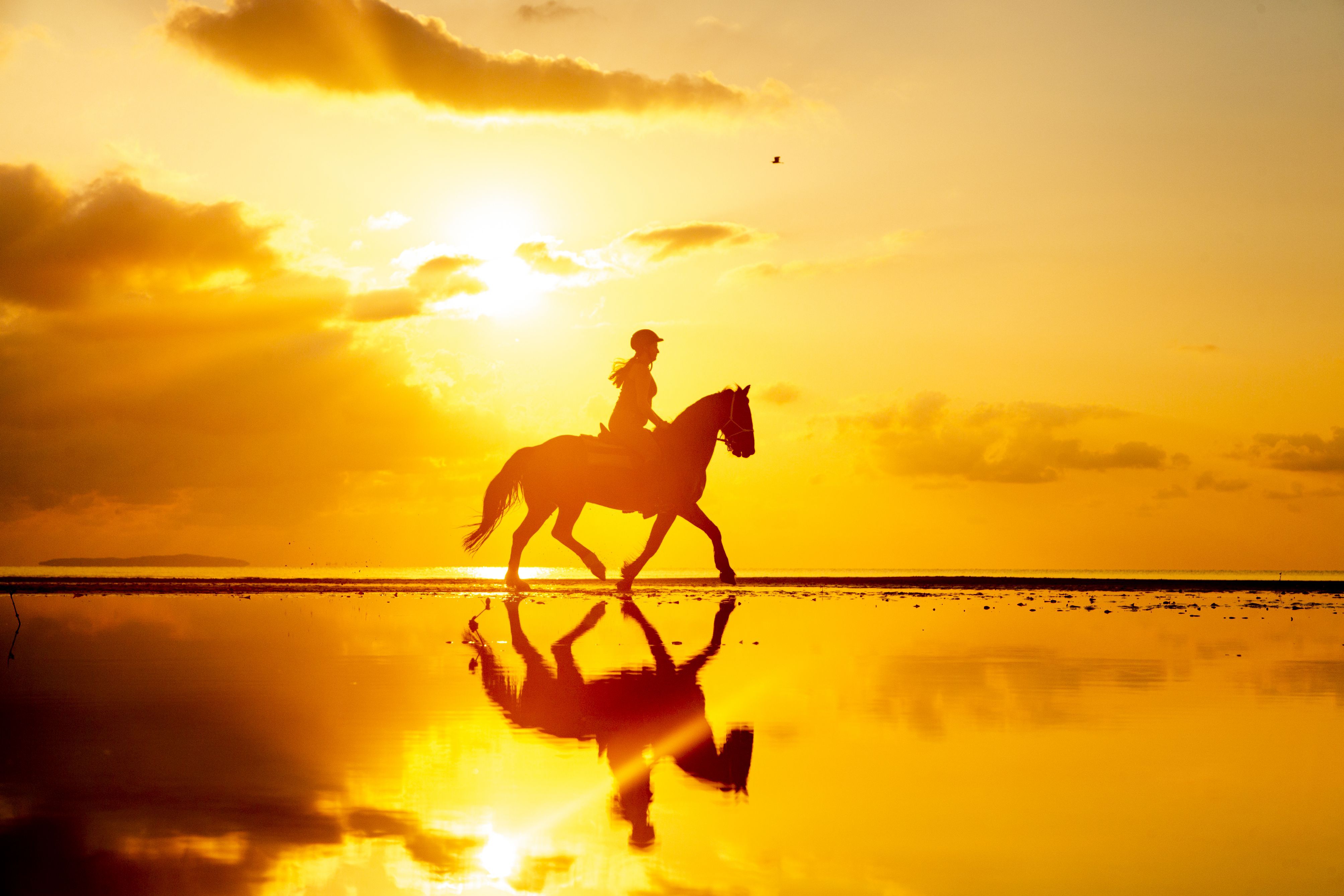 African Paradise - horseXperiences™ GO EQUESTRIAN