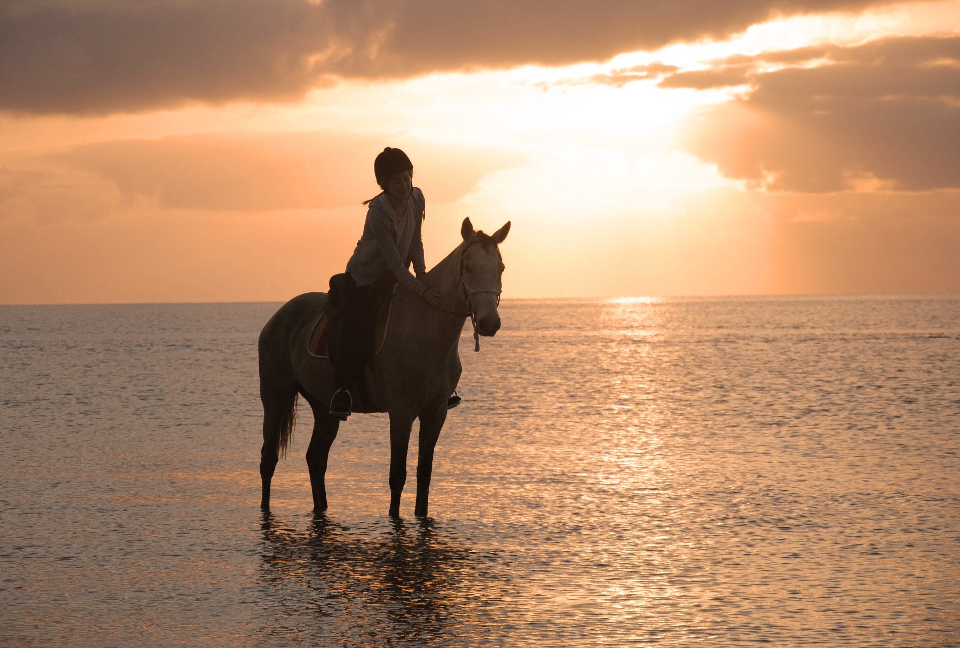 African Paradise - horseXperiences™ GO EQUESTRIAN