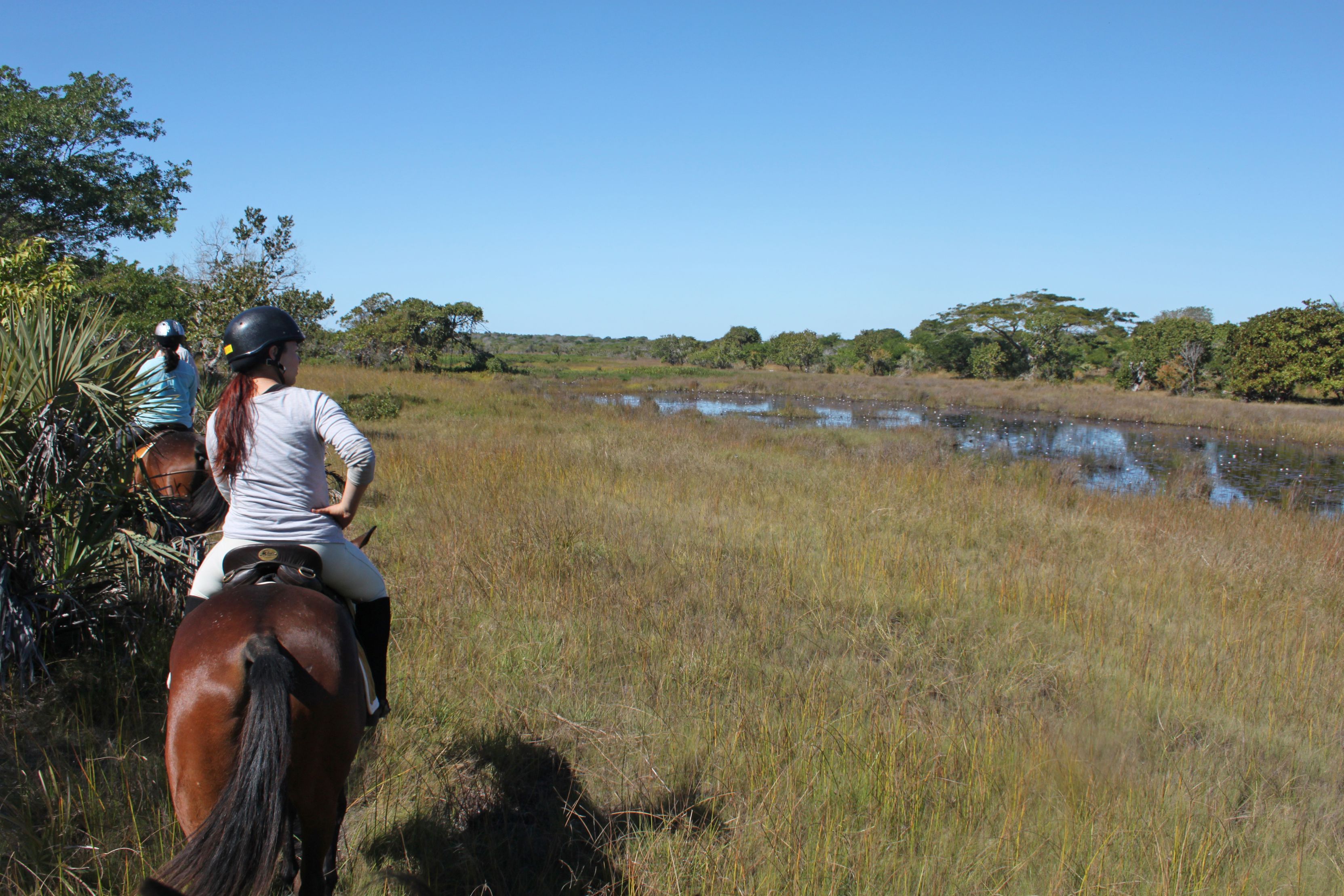 African Paradise - horseXperiences™ GO EQUESTRIAN