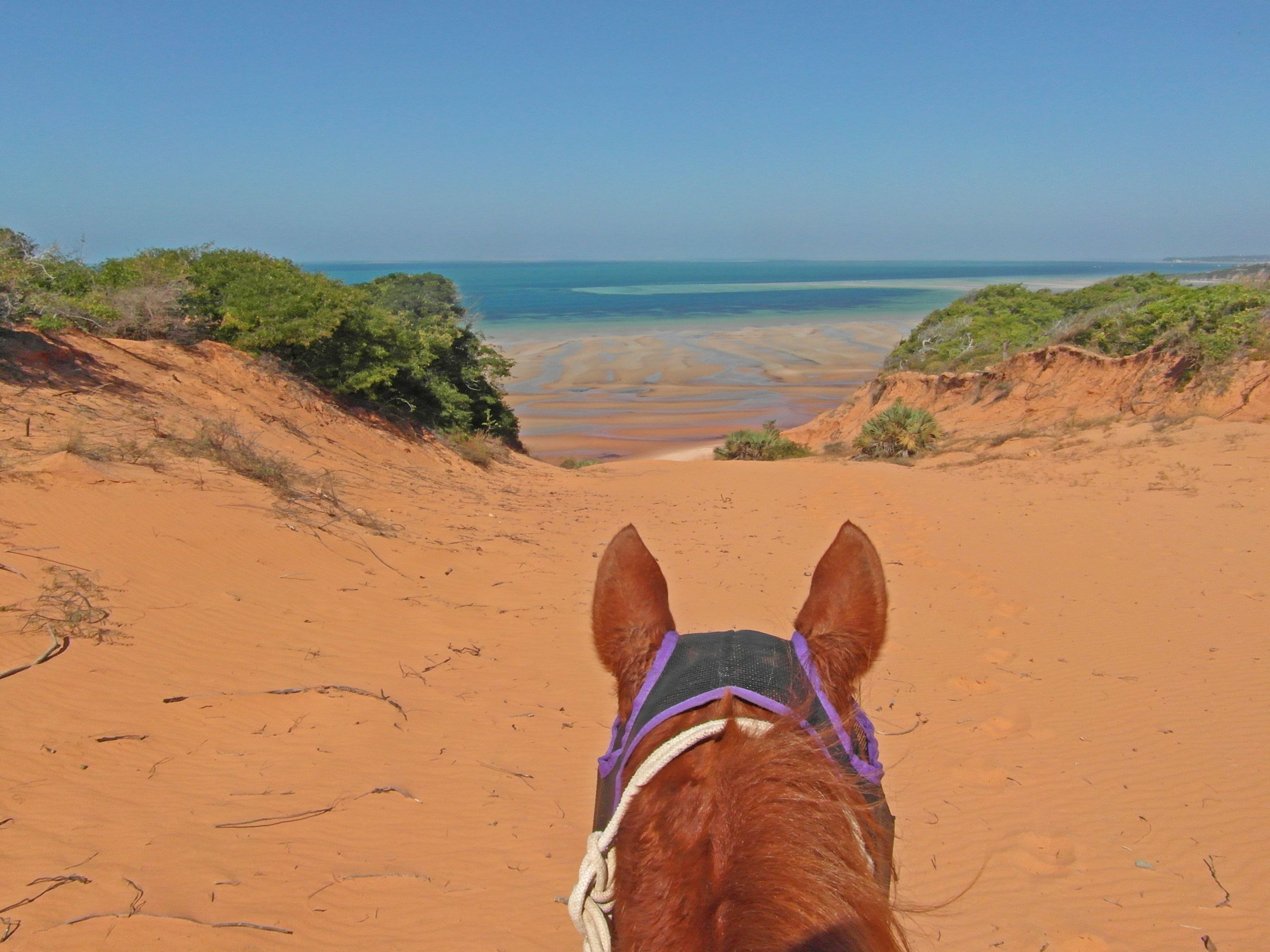 African Paradise - horseXperiences™ GO EQUESTRIAN