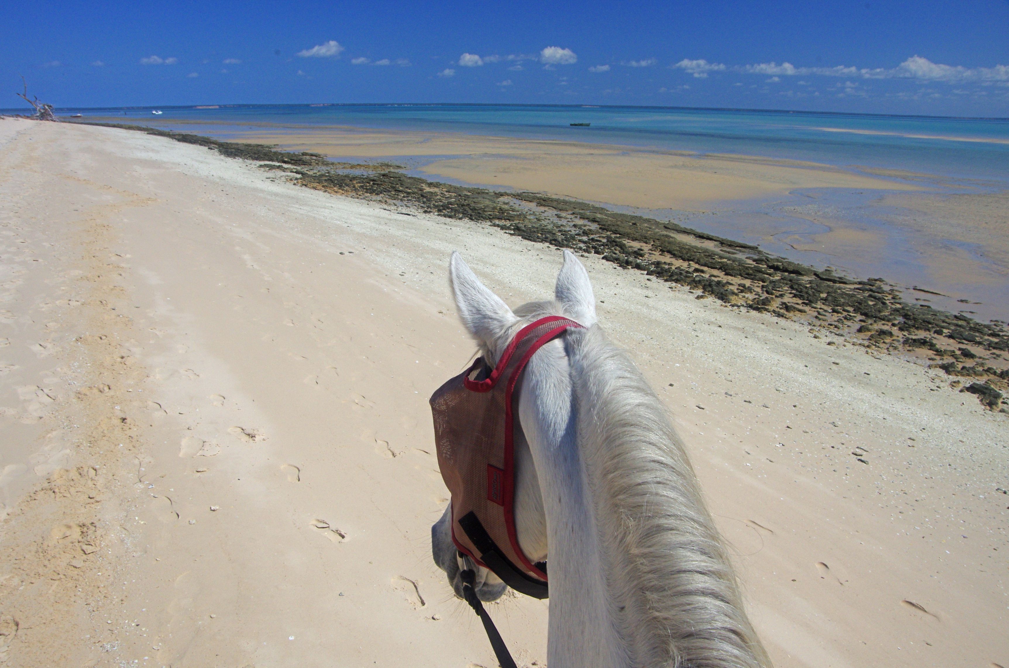 African Paradise - horseXperiences™ GO EQUESTRIAN