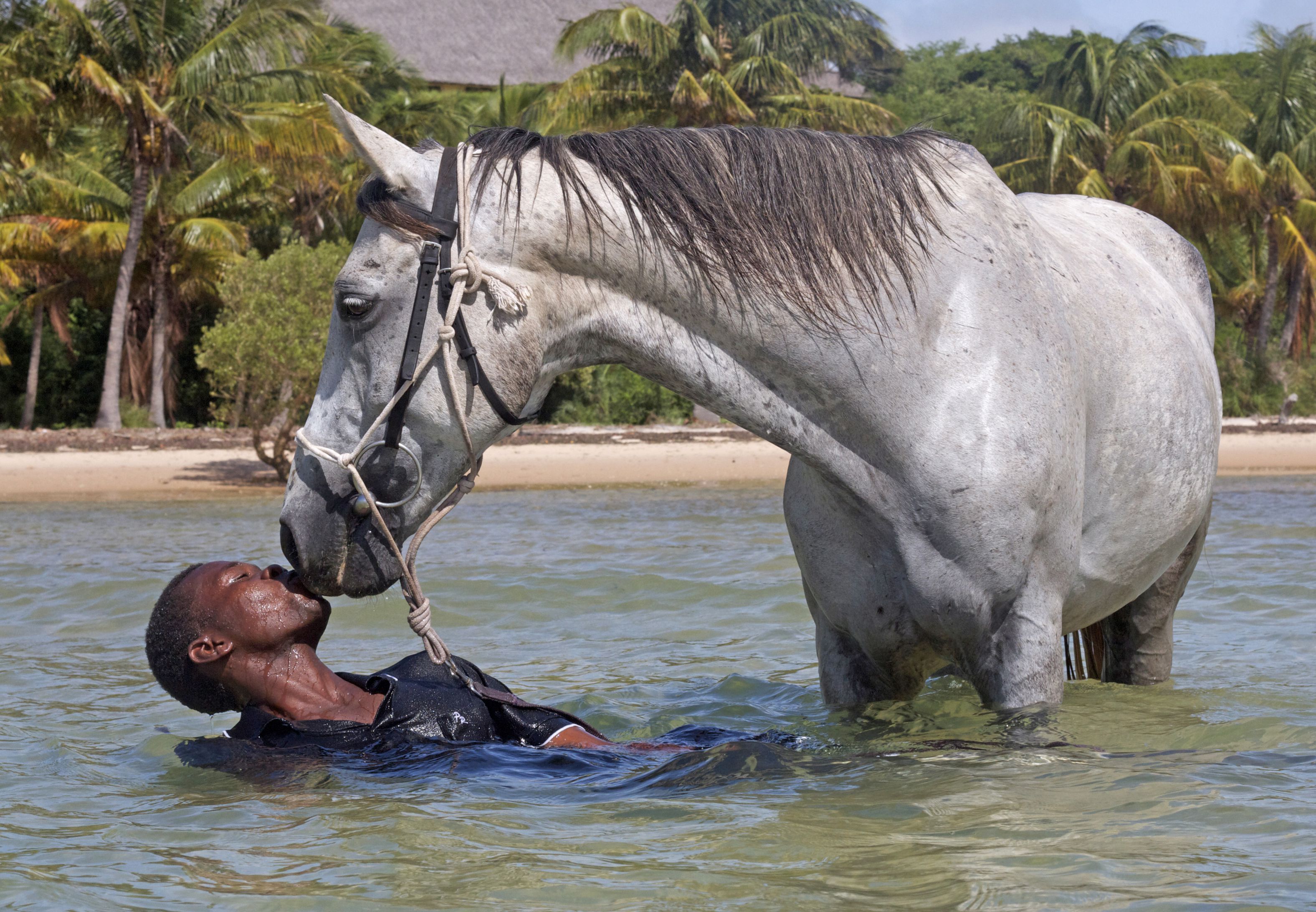 African Paradise - horseXperiences™ GO EQUESTRIAN