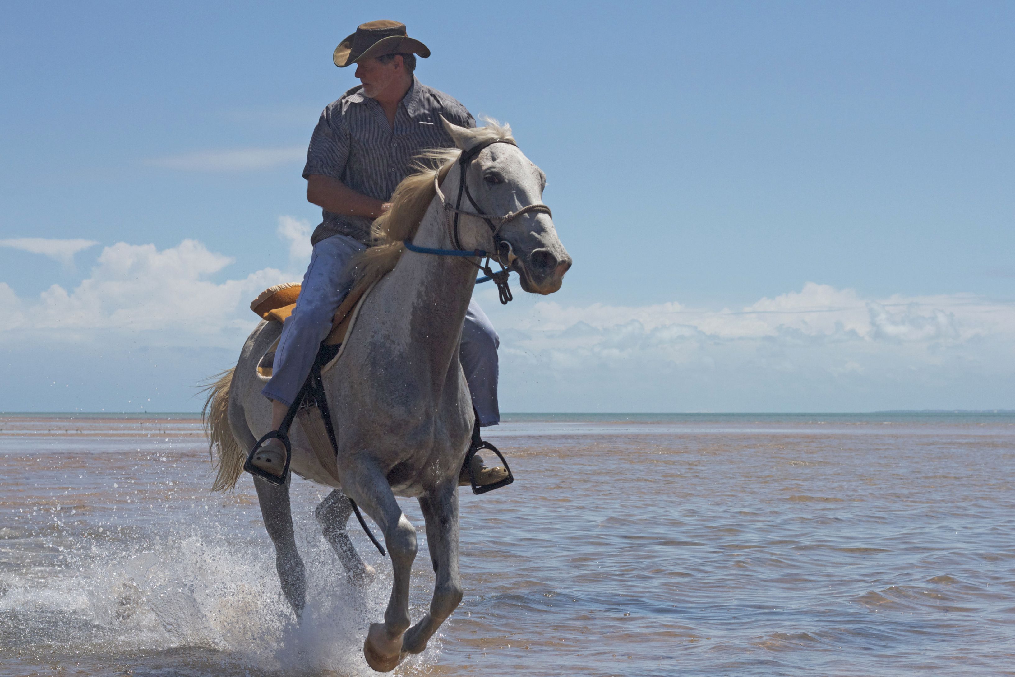 African Paradise - horseXperiences™ GO EQUESTRIAN