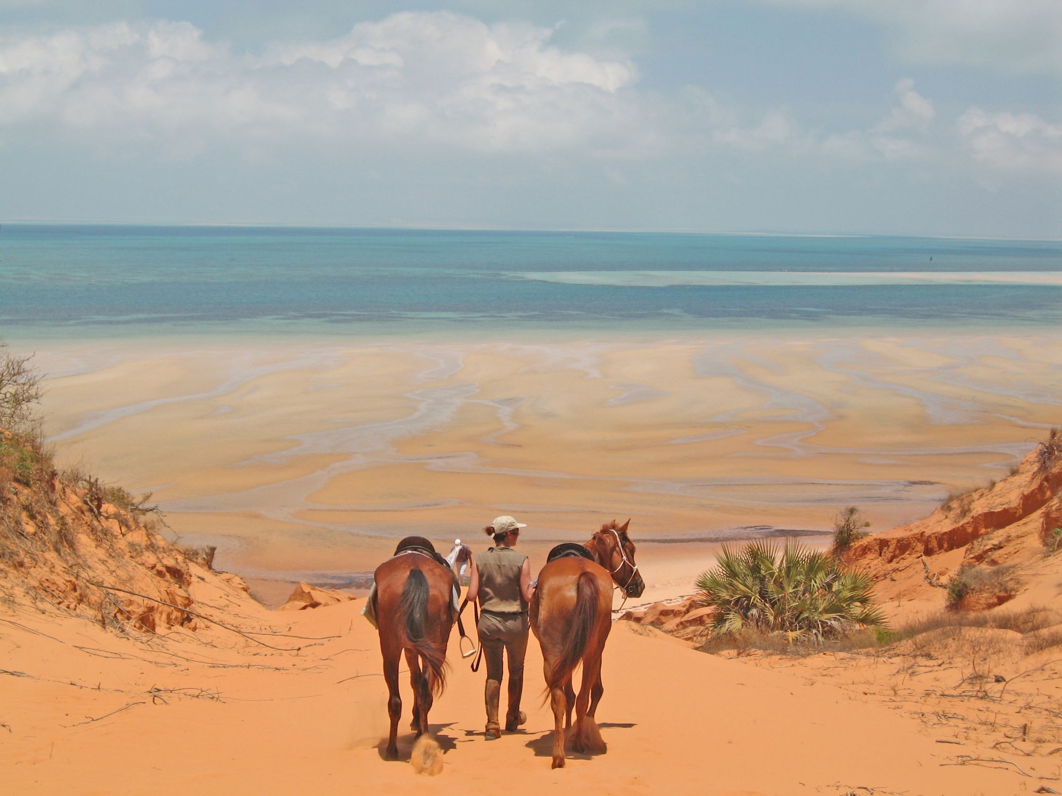 African Paradise - horseXperiences™ GO EQUESTRIAN