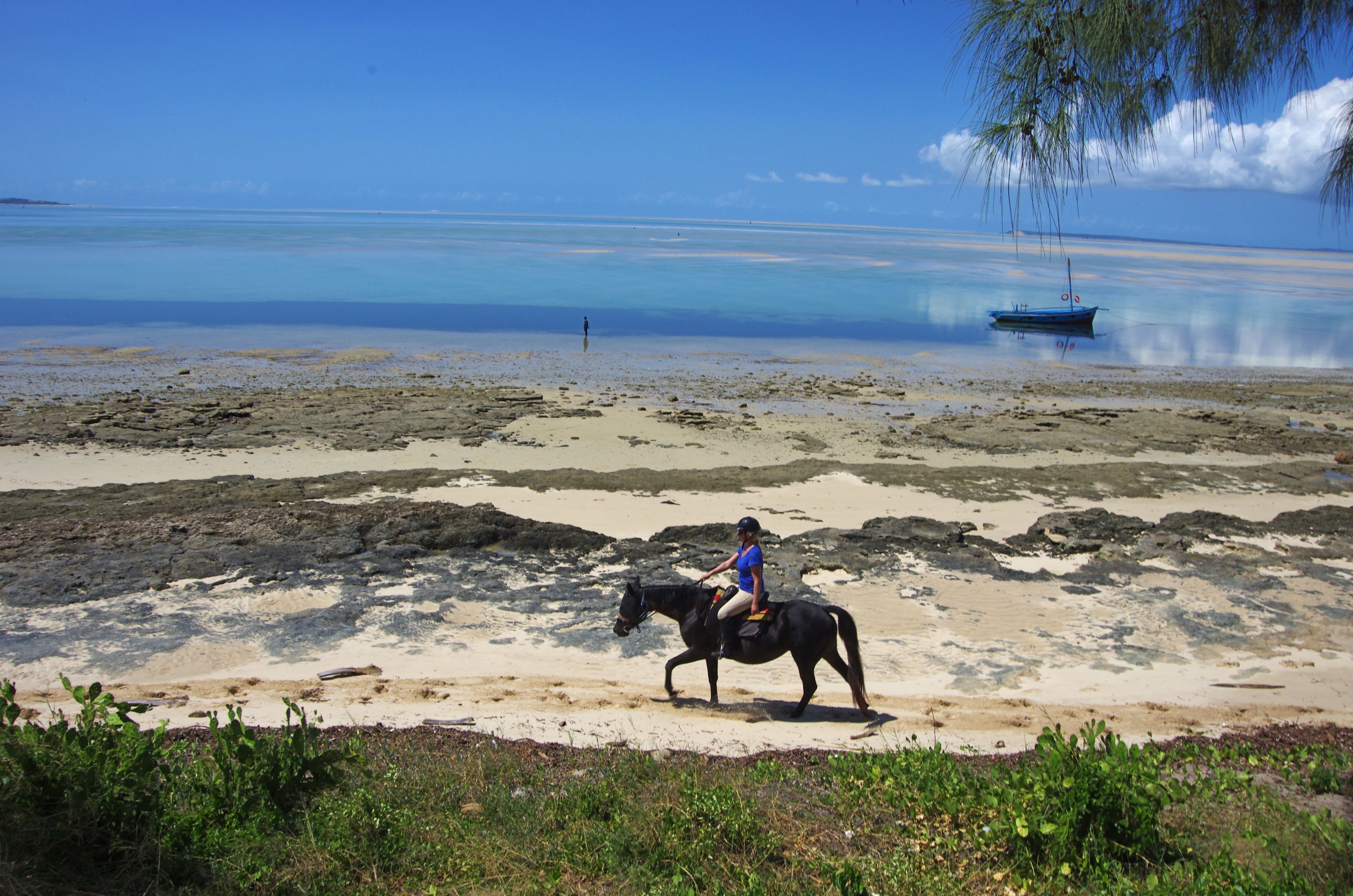 African Paradise - horseXperiences™ GO EQUESTRIAN