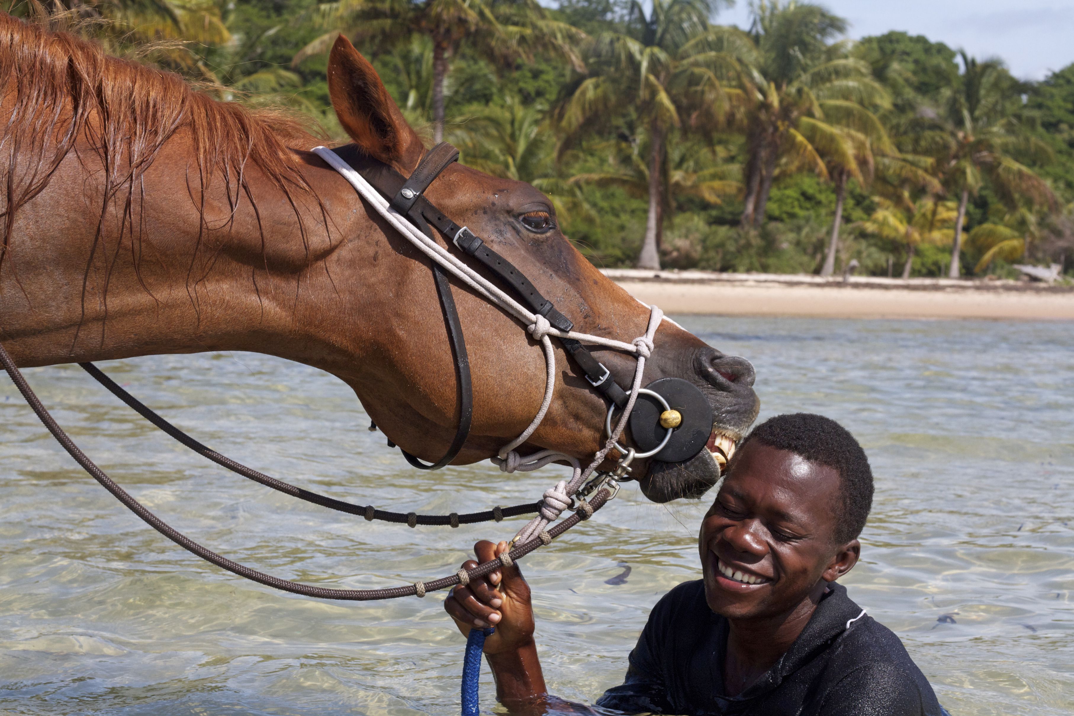 African Paradise - horseXperiences™ GO EQUESTRIAN