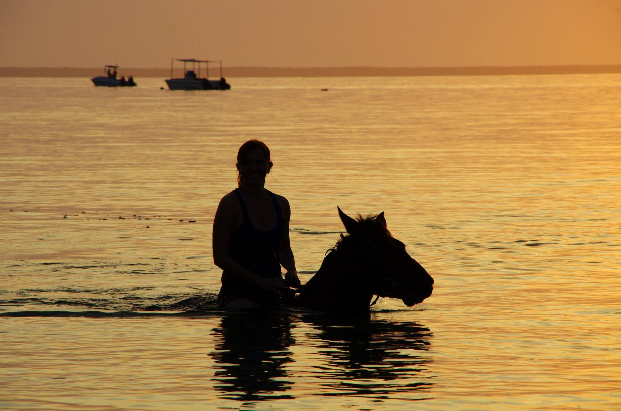 African Paradise - horseXperiences™ GO EQUESTRIAN