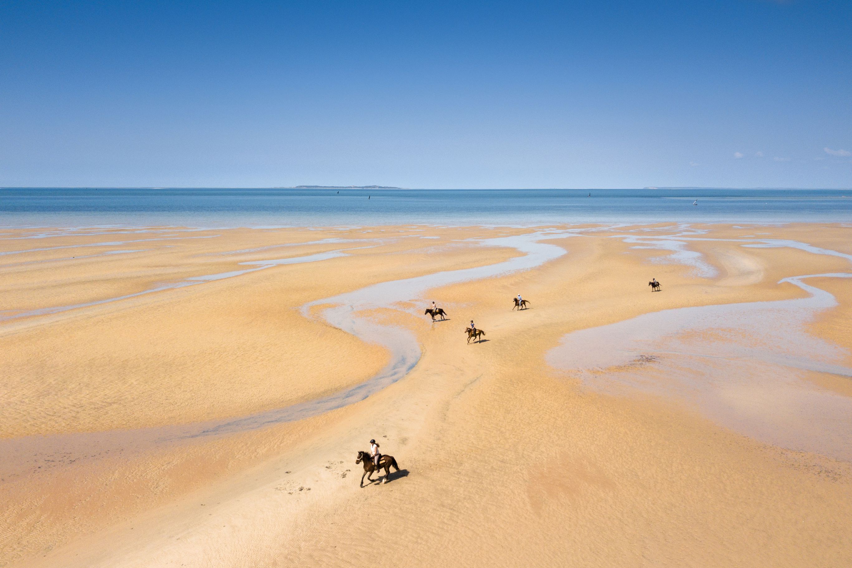 African Paradise - horseXperiences™ GO EQUESTRIAN