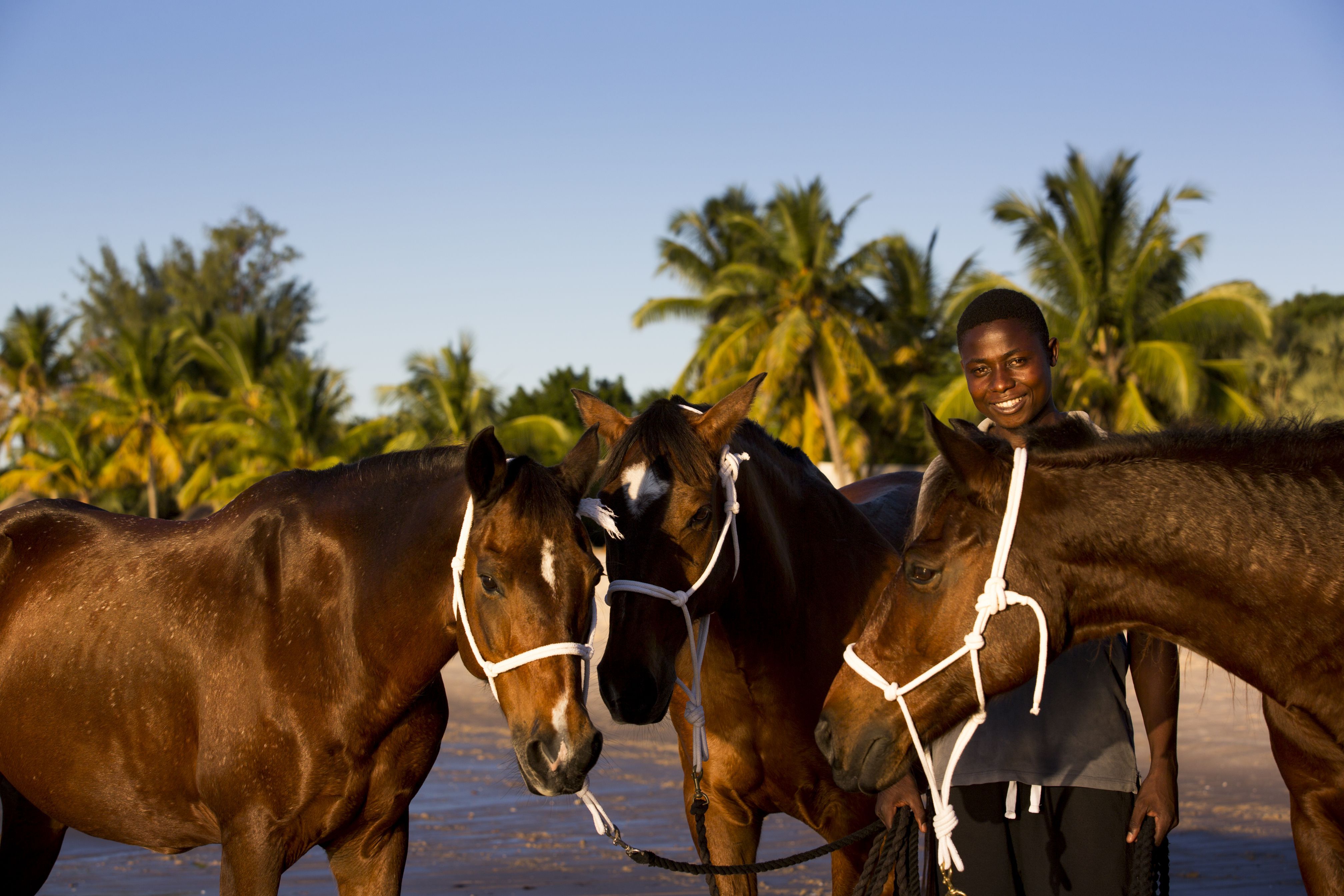 African Paradise - horseXperiences™ GO EQUESTRIAN