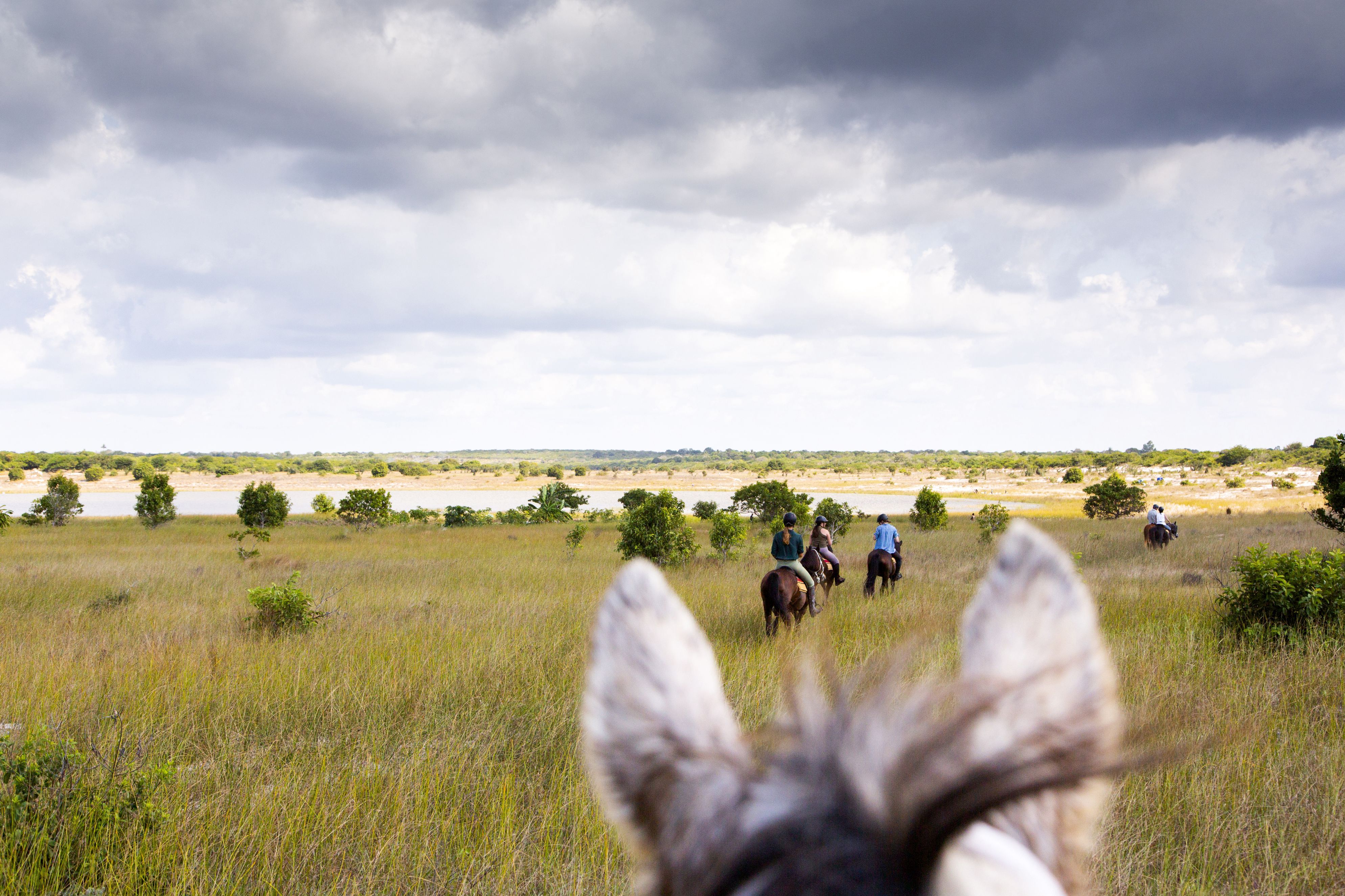 African Paradise - horseXperiences™ GO EQUESTRIAN