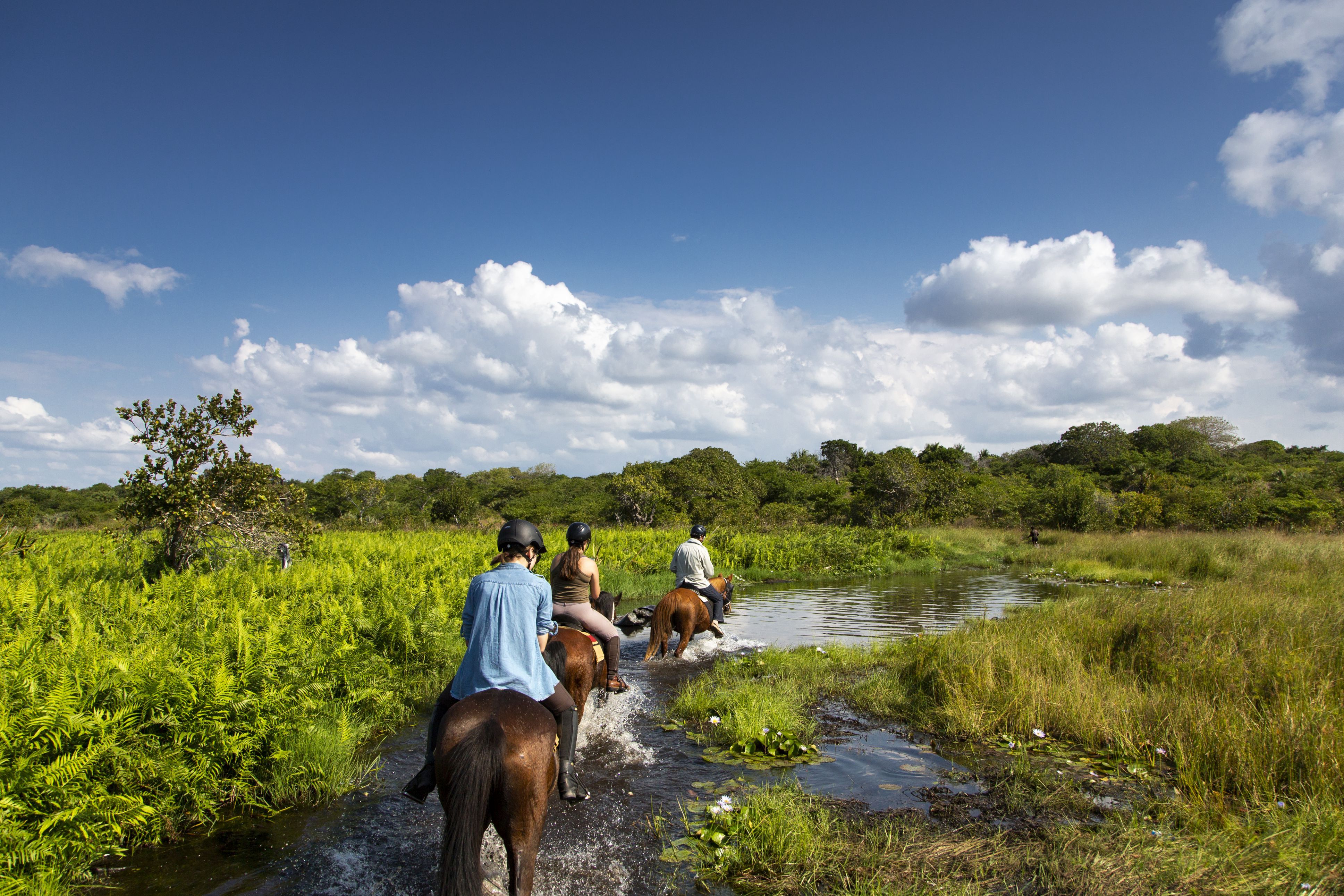 African Paradise - horseXperiences™ GO EQUESTRIAN