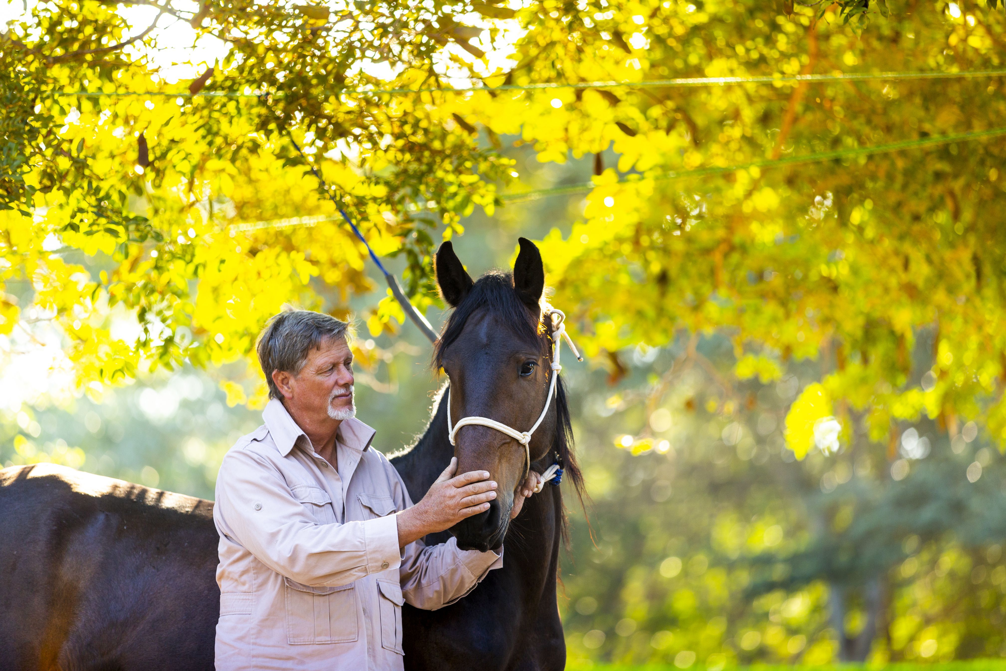 African Paradise - horseXperiences™ GO EQUESTRIAN