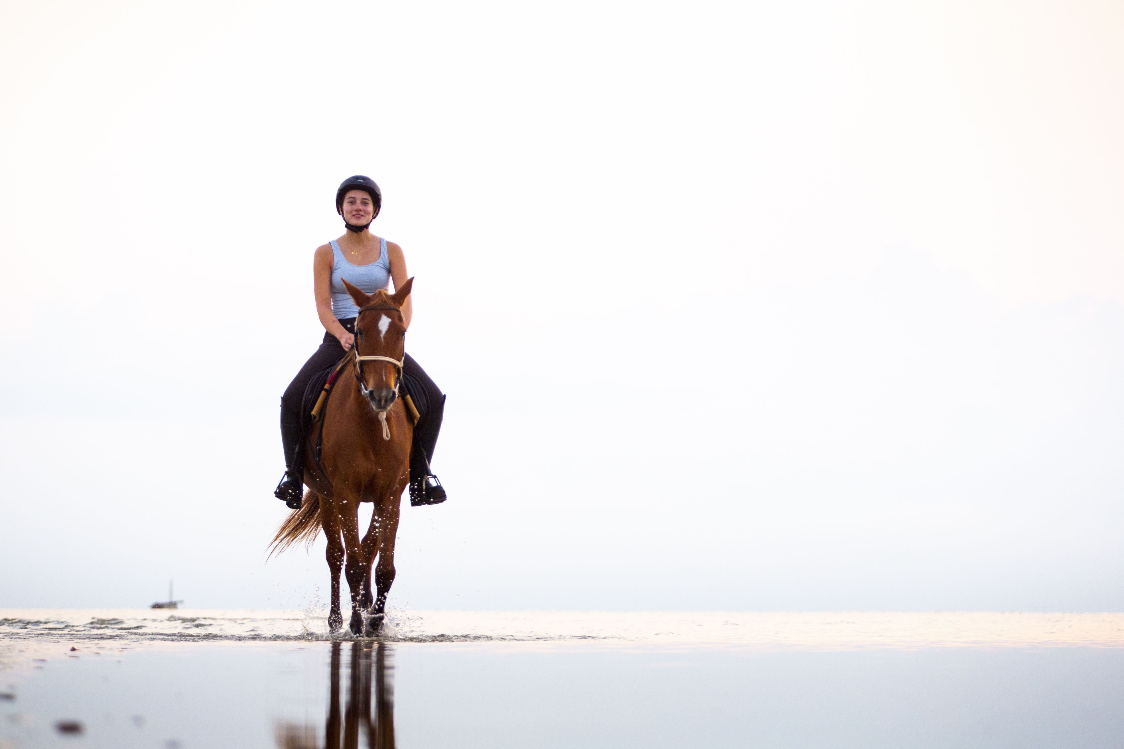 African Paradise - horseXperiences™ GO EQUESTRIAN