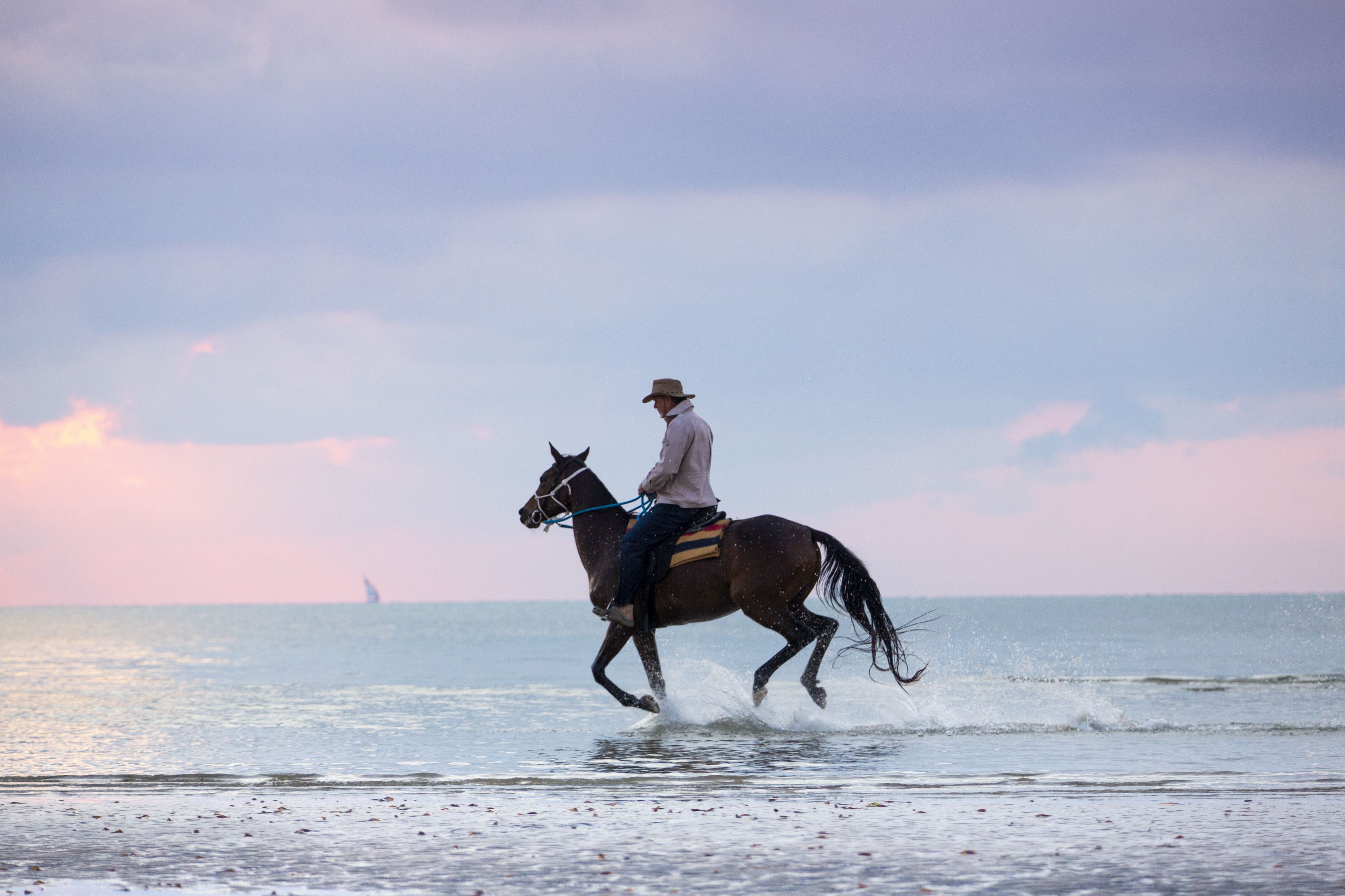 African Paradise - horseXperiences™ GO EQUESTRIAN