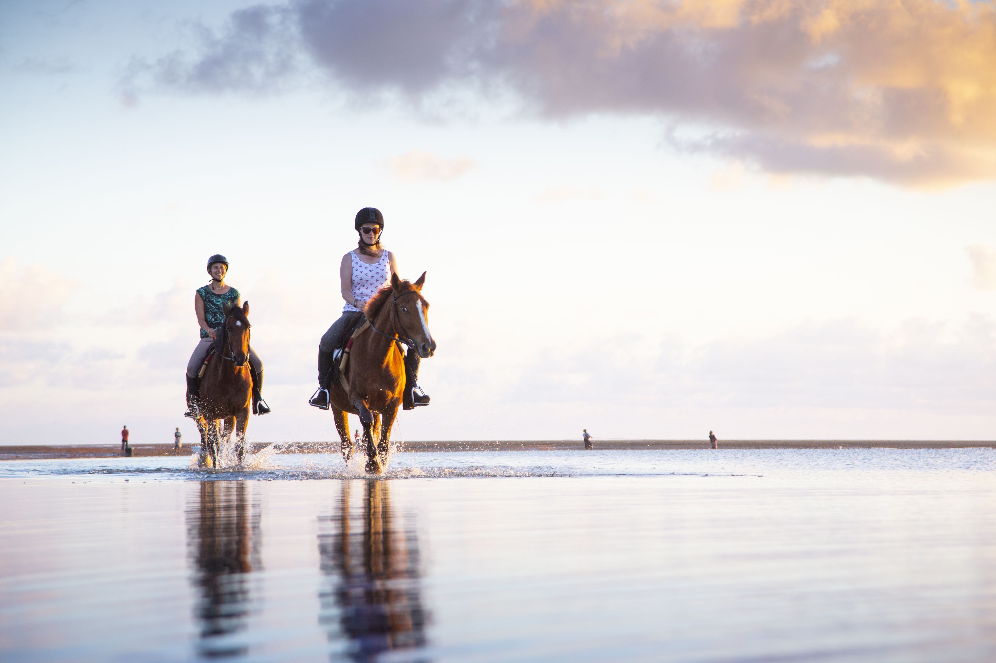 African Paradise - horseXperiences™ GO EQUESTRIAN