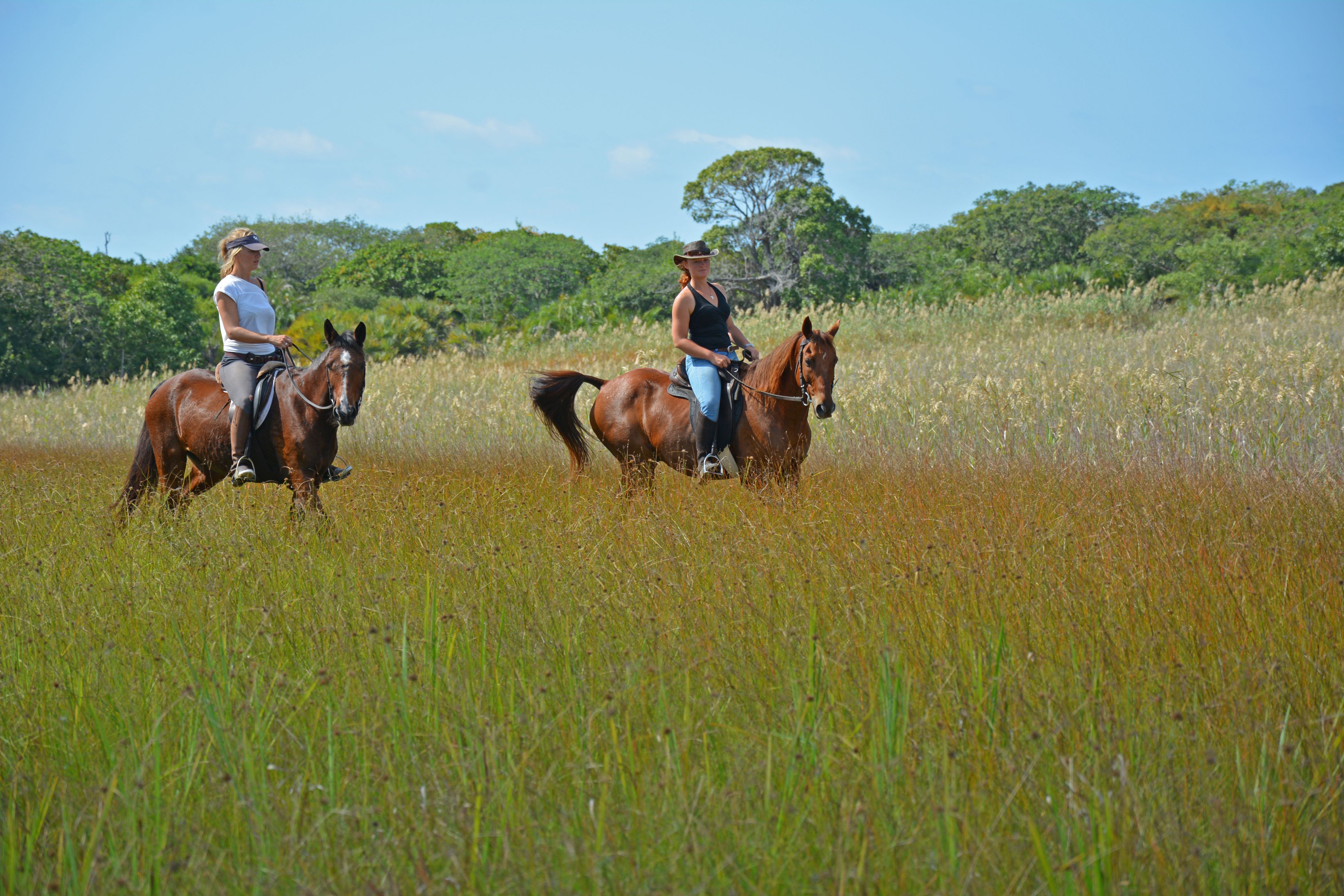 African Paradise - horseXperiences™ GO EQUESTRIAN