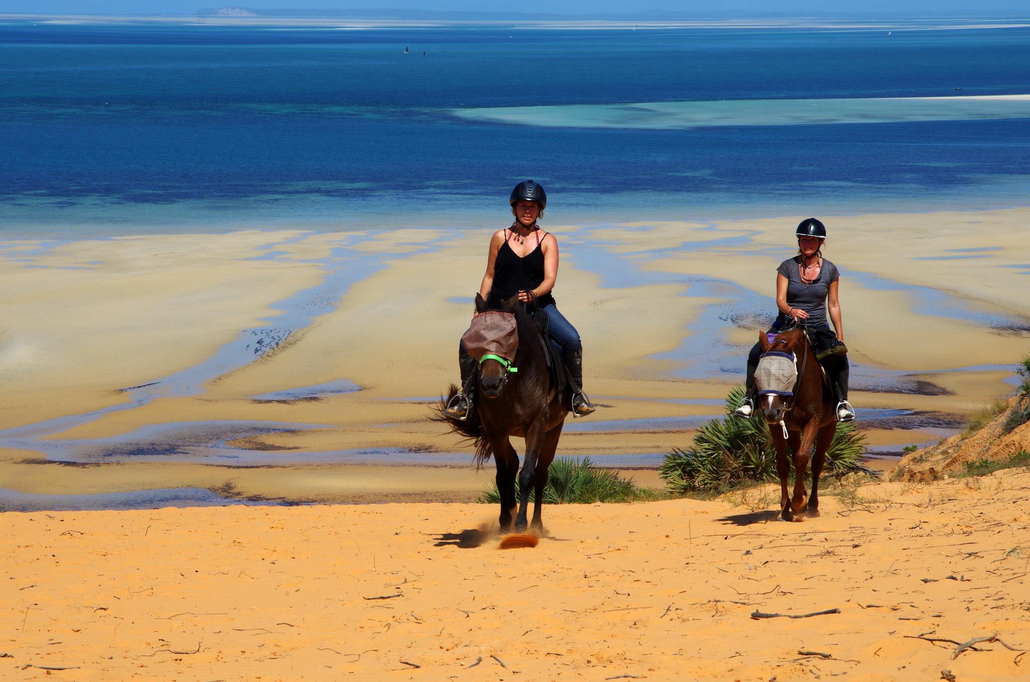 African Paradise - horseXperiences™ GO EQUESTRIAN