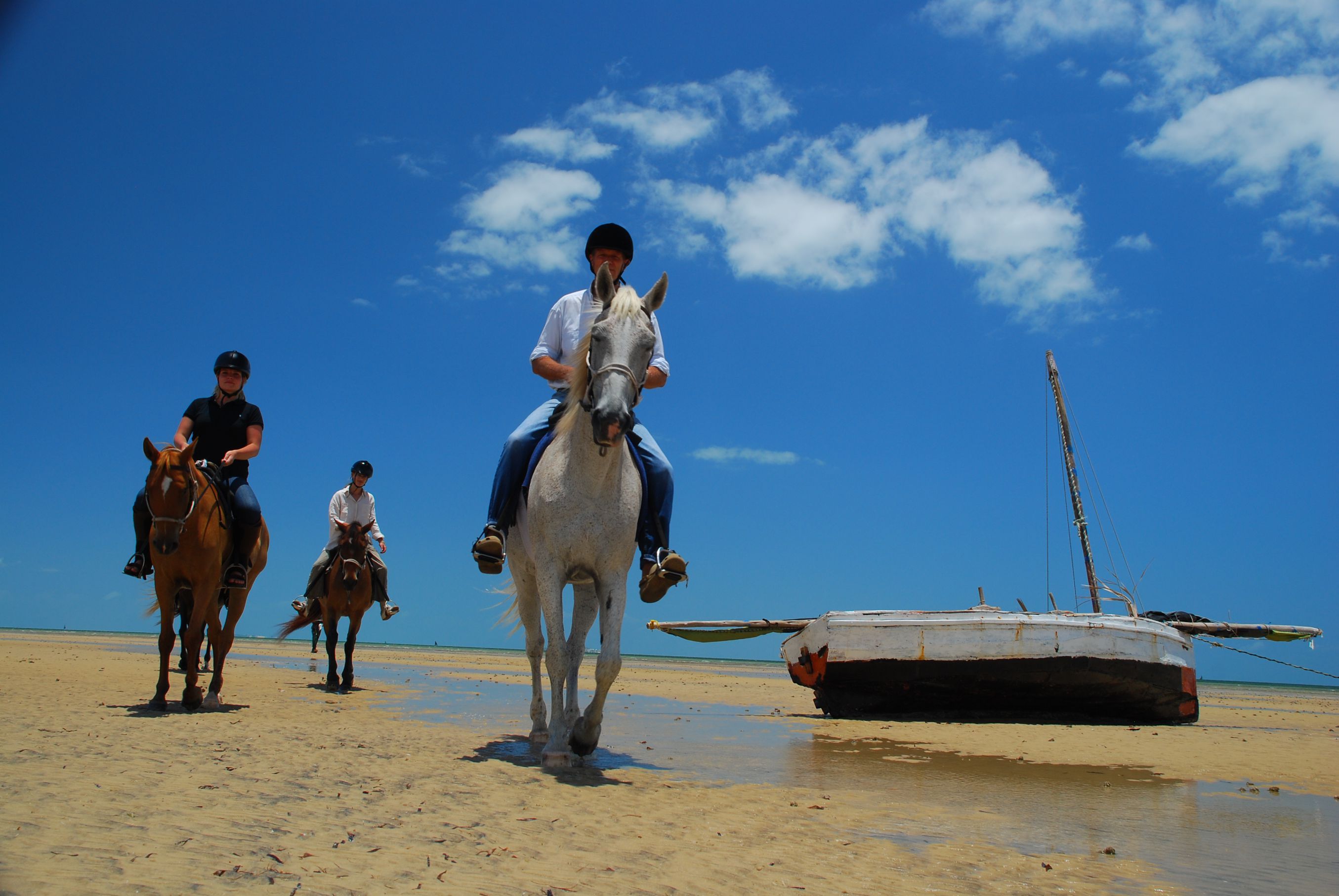 African Paradise - horseXperiences™ GO EQUESTRIAN