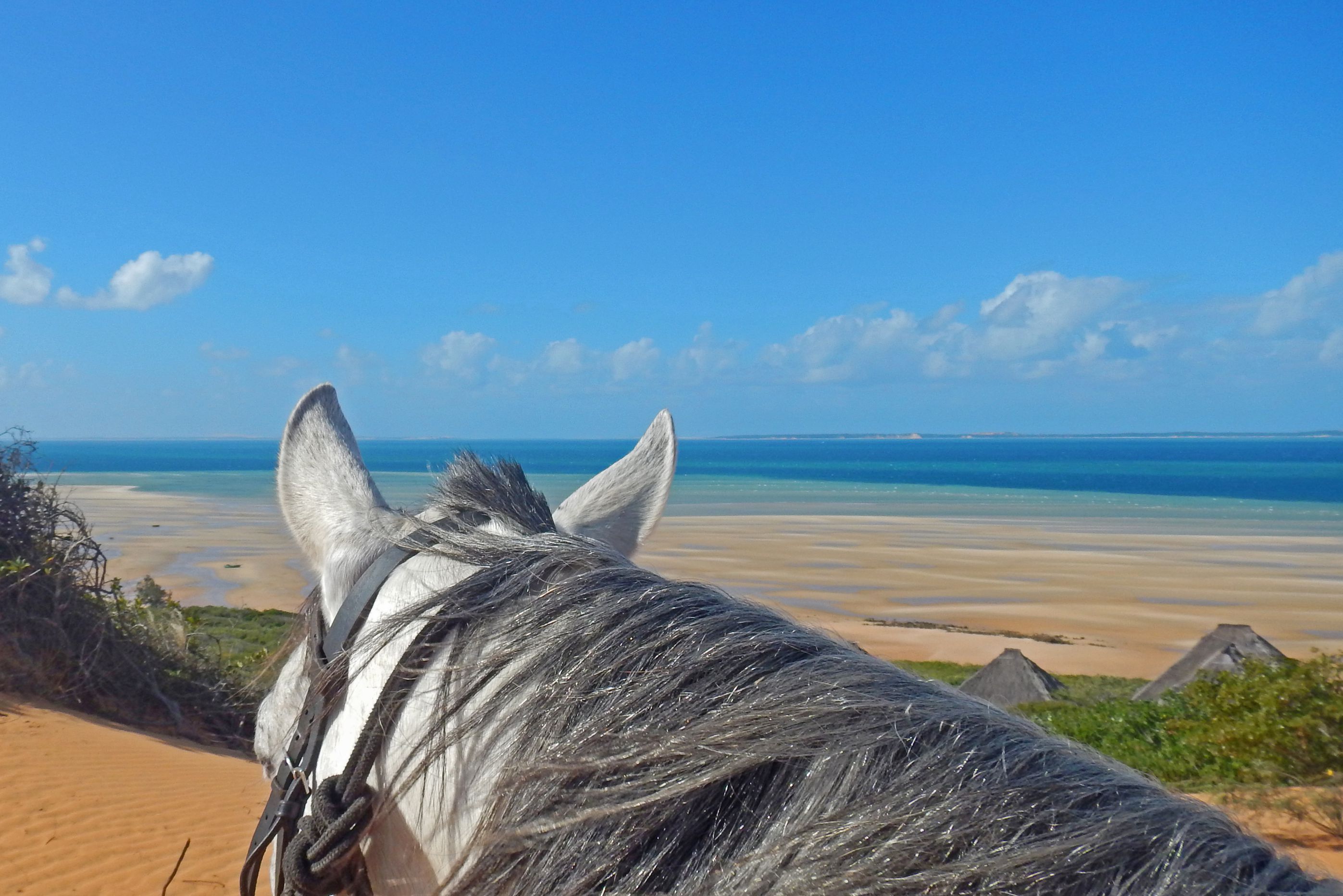 African Paradise - horseXperiences™ GO EQUESTRIAN