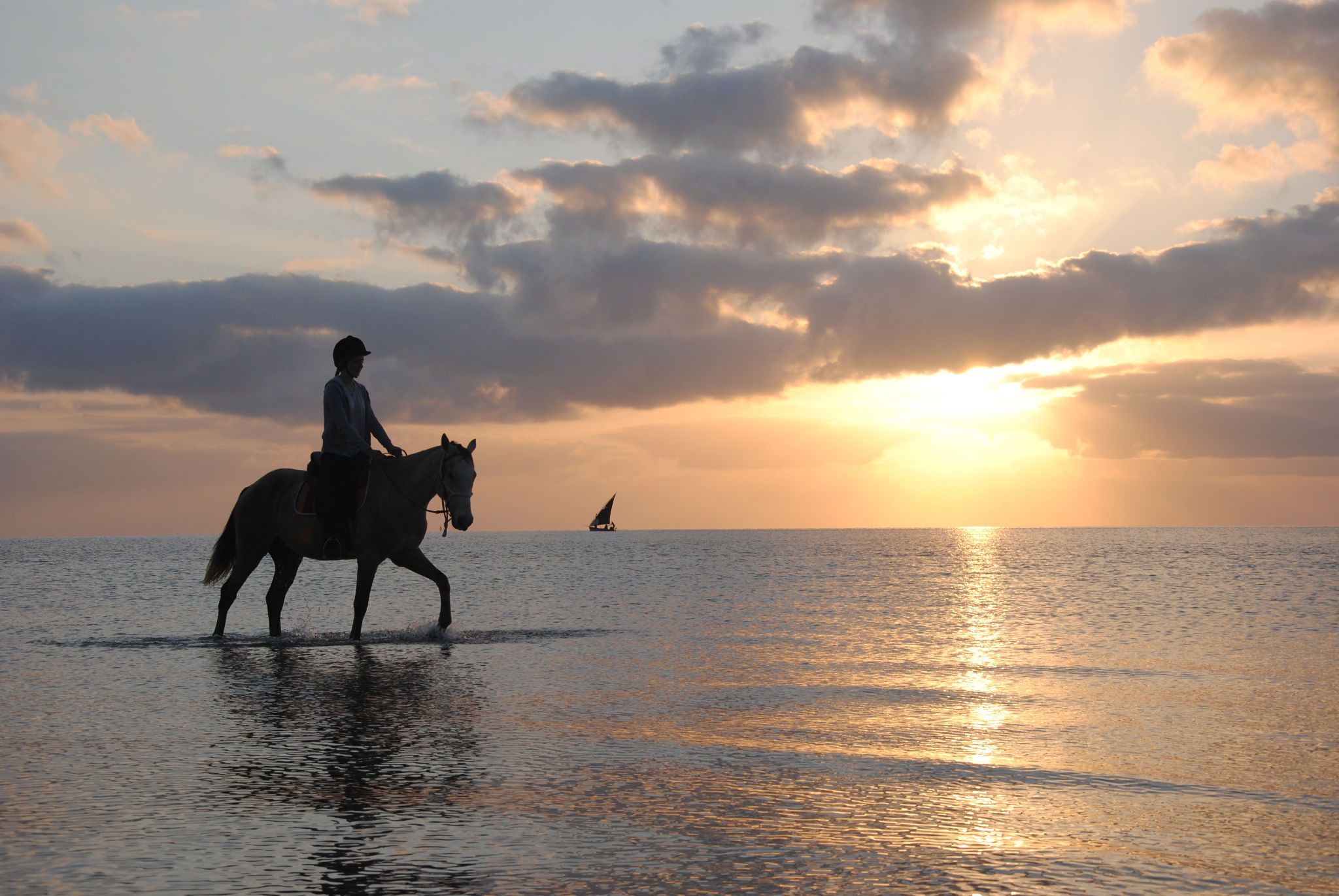 African Paradise - horseXperiences™ GO EQUESTRIAN