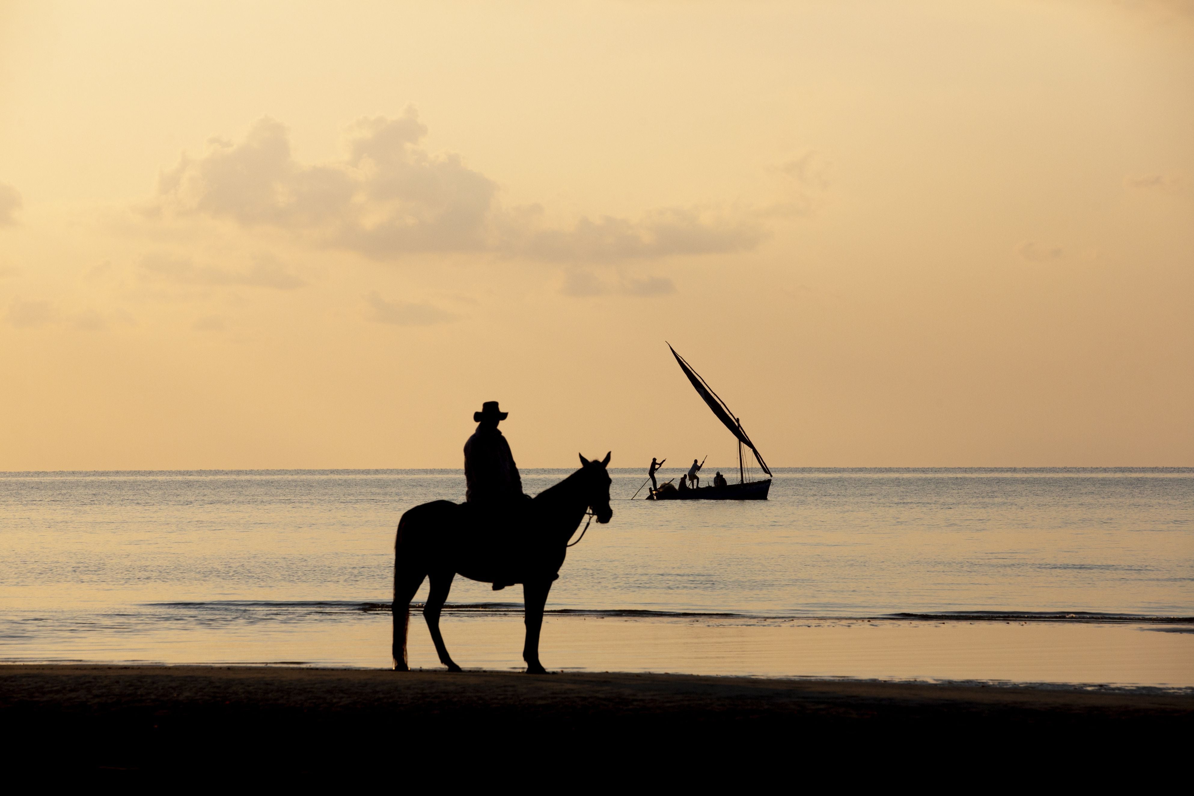 African Paradise - horseXperiences™ GO EQUESTRIAN