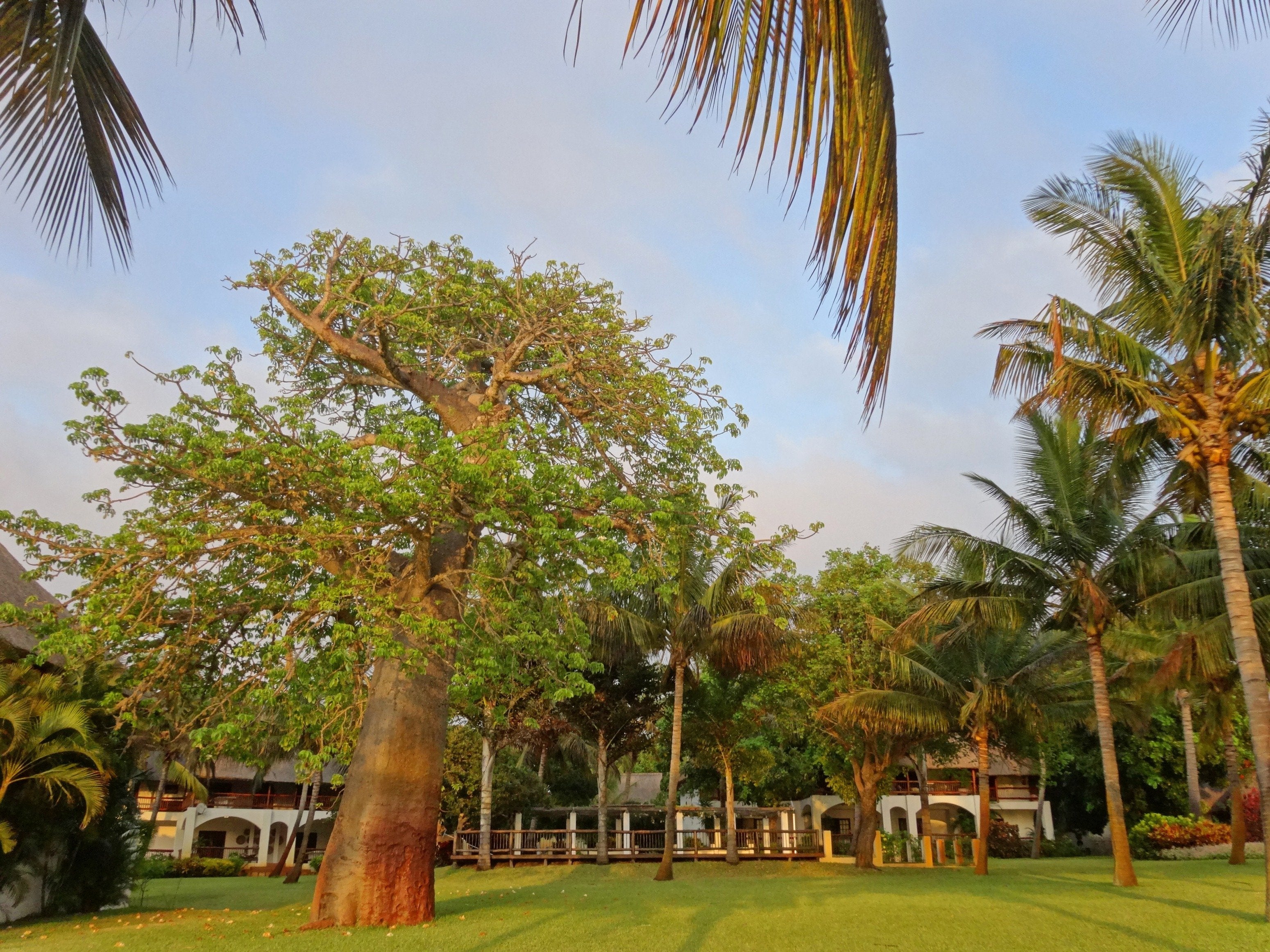 African Paradise - horseXperiences™ GO EQUESTRIAN