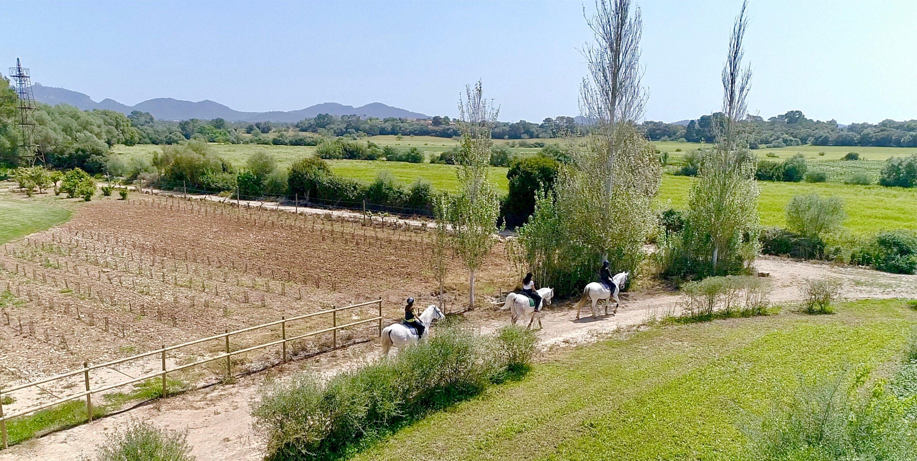 Spanish Dream - horseXperiences™ GO EQUESTRIAN