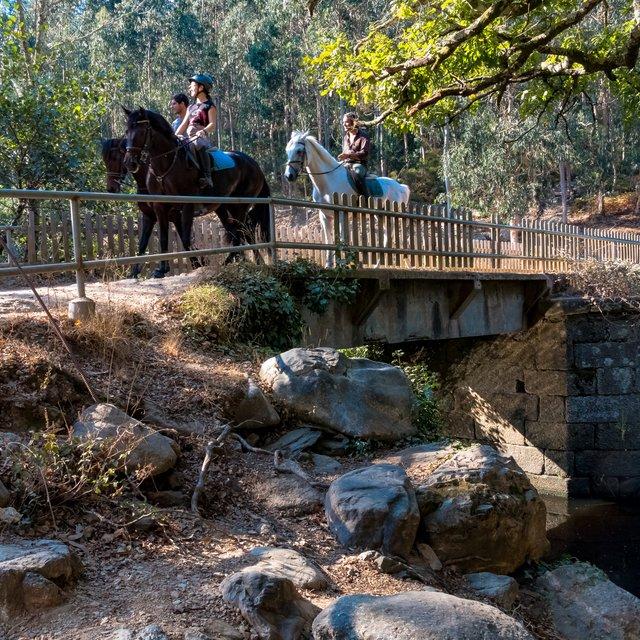 Porto Invictus Trails - horseXperiences™ GO EQUESTRIAN