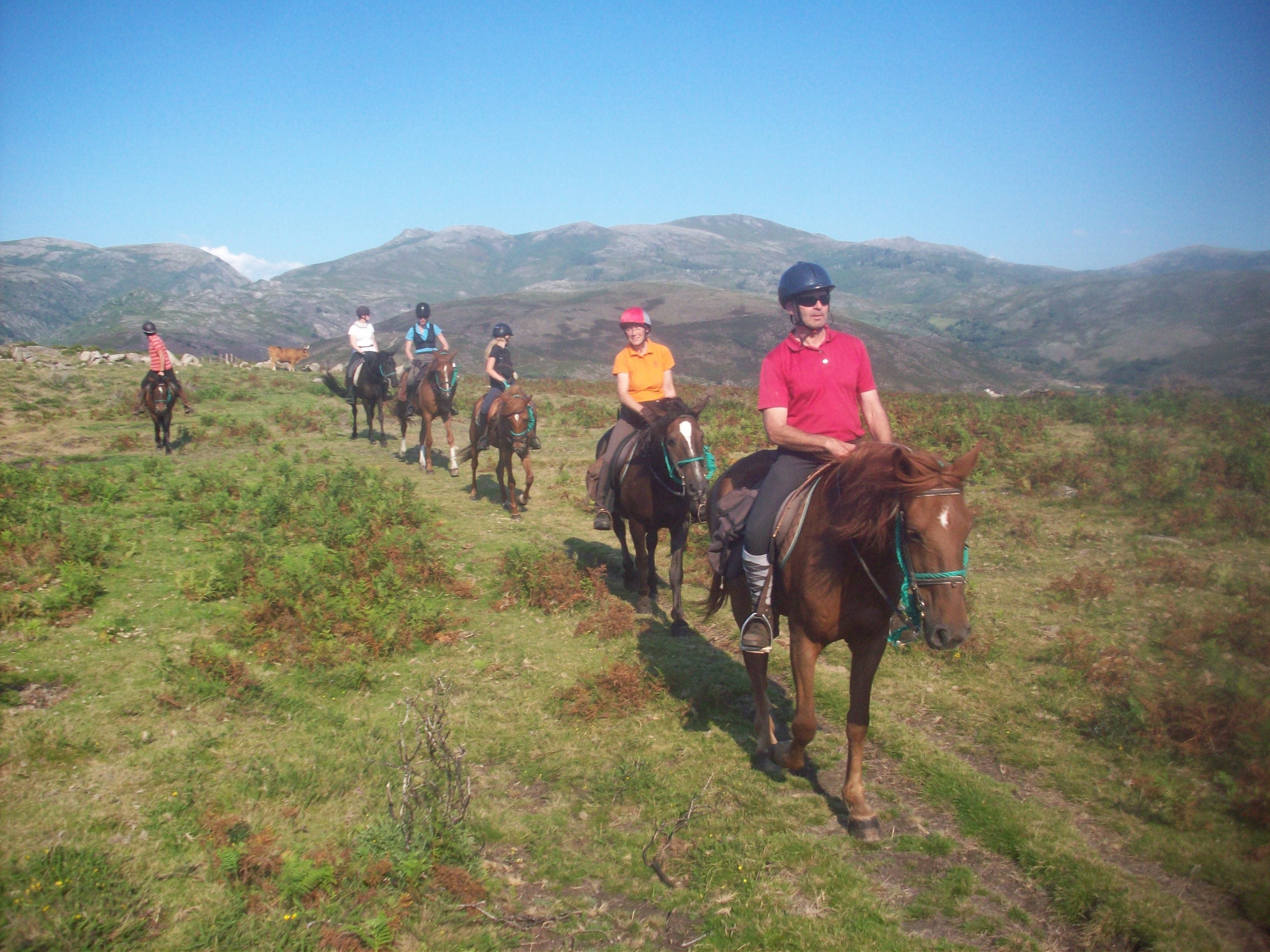 The Wild North Trail - horseXperiences™ GO EQUESTRIAN