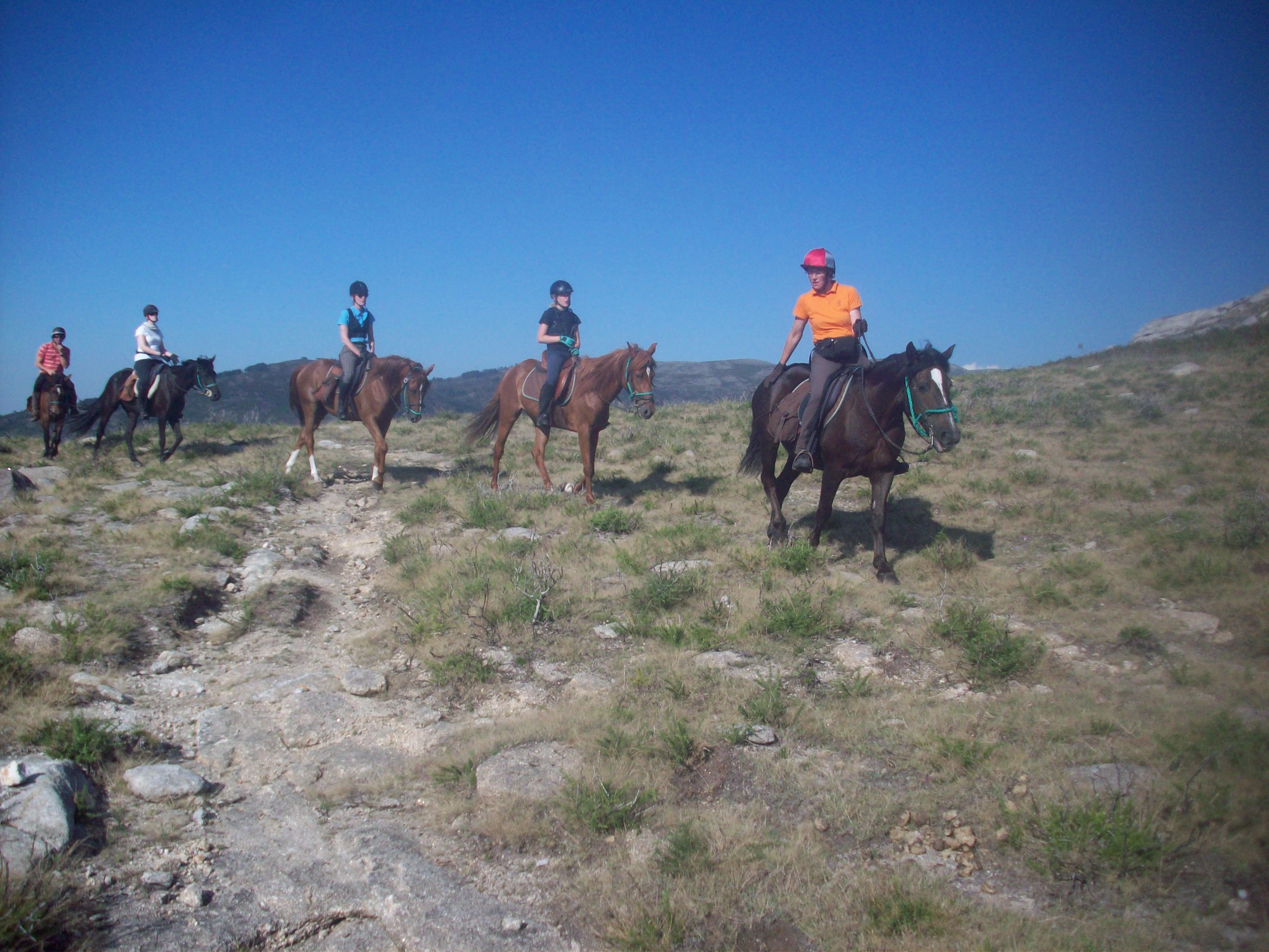 The Wild North Trail - horseXperiences™ GO EQUESTRIAN