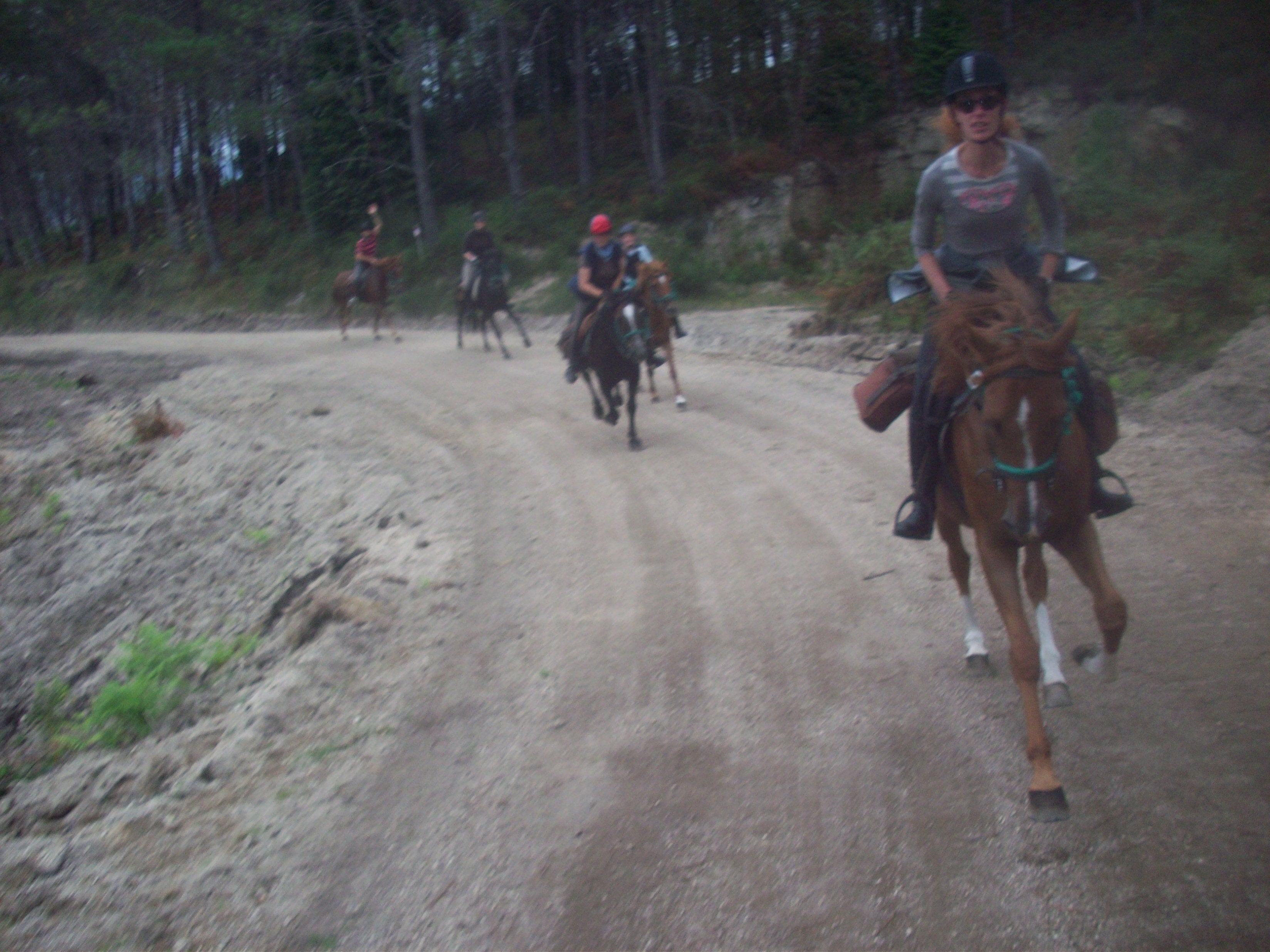 The Wild North Trail - horseXperiences™ GO EQUESTRIAN