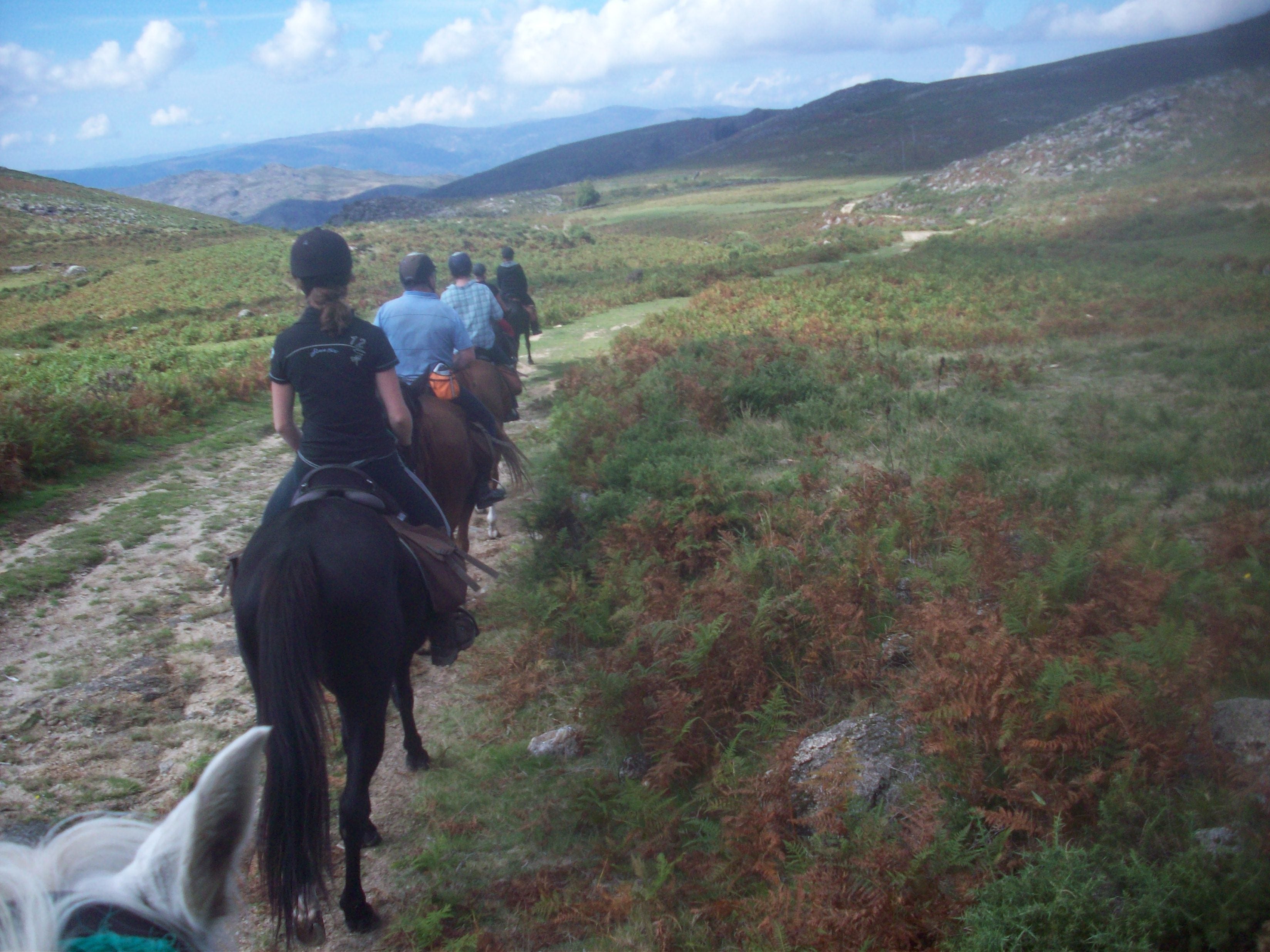 The Wild North Trail - horseXperiences™ GO EQUESTRIAN