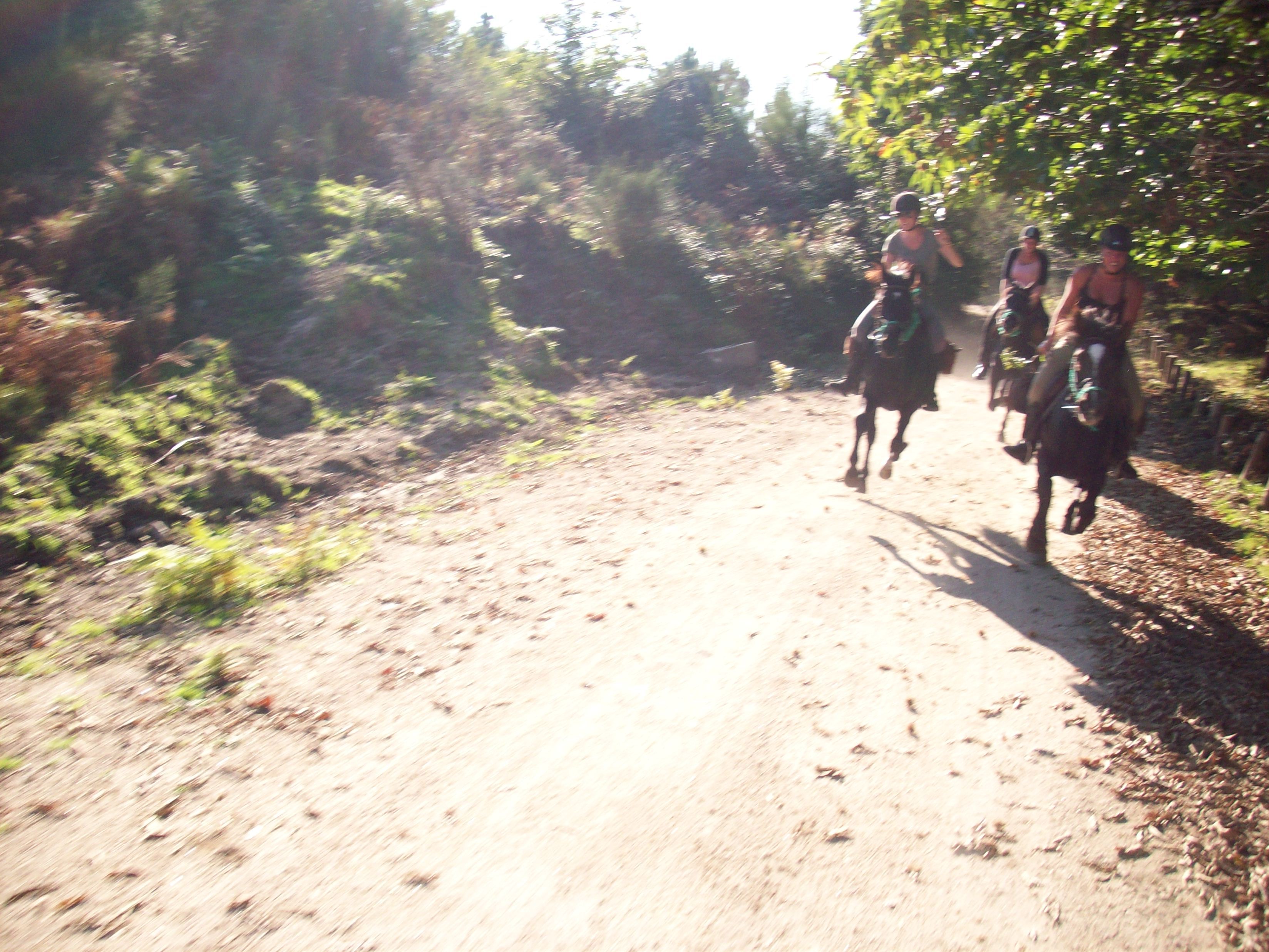 The Wild North Trail - horseXperiences™ GO EQUESTRIAN