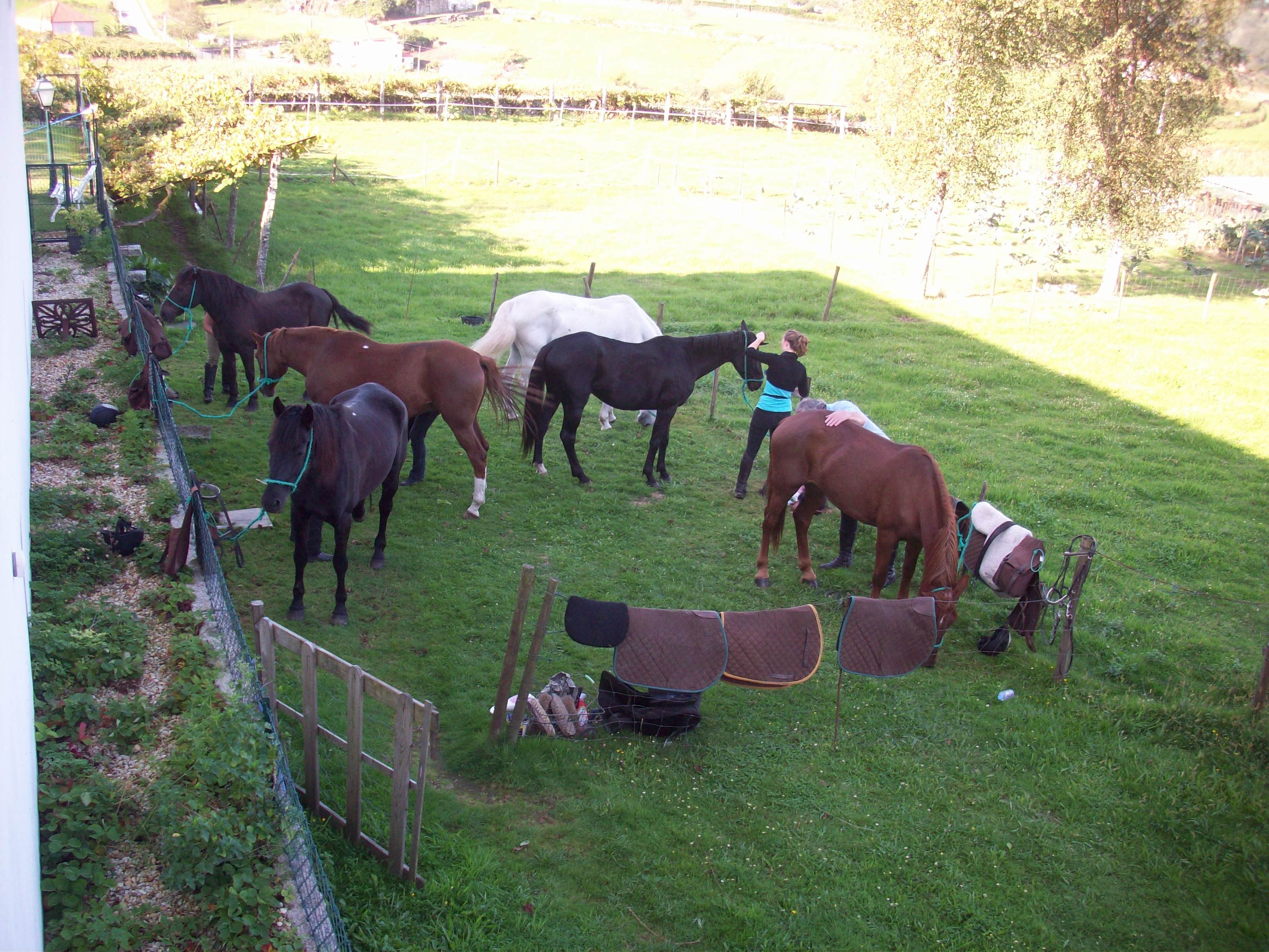 The Wild North Trail - horseXperiences™ GO EQUESTRIAN