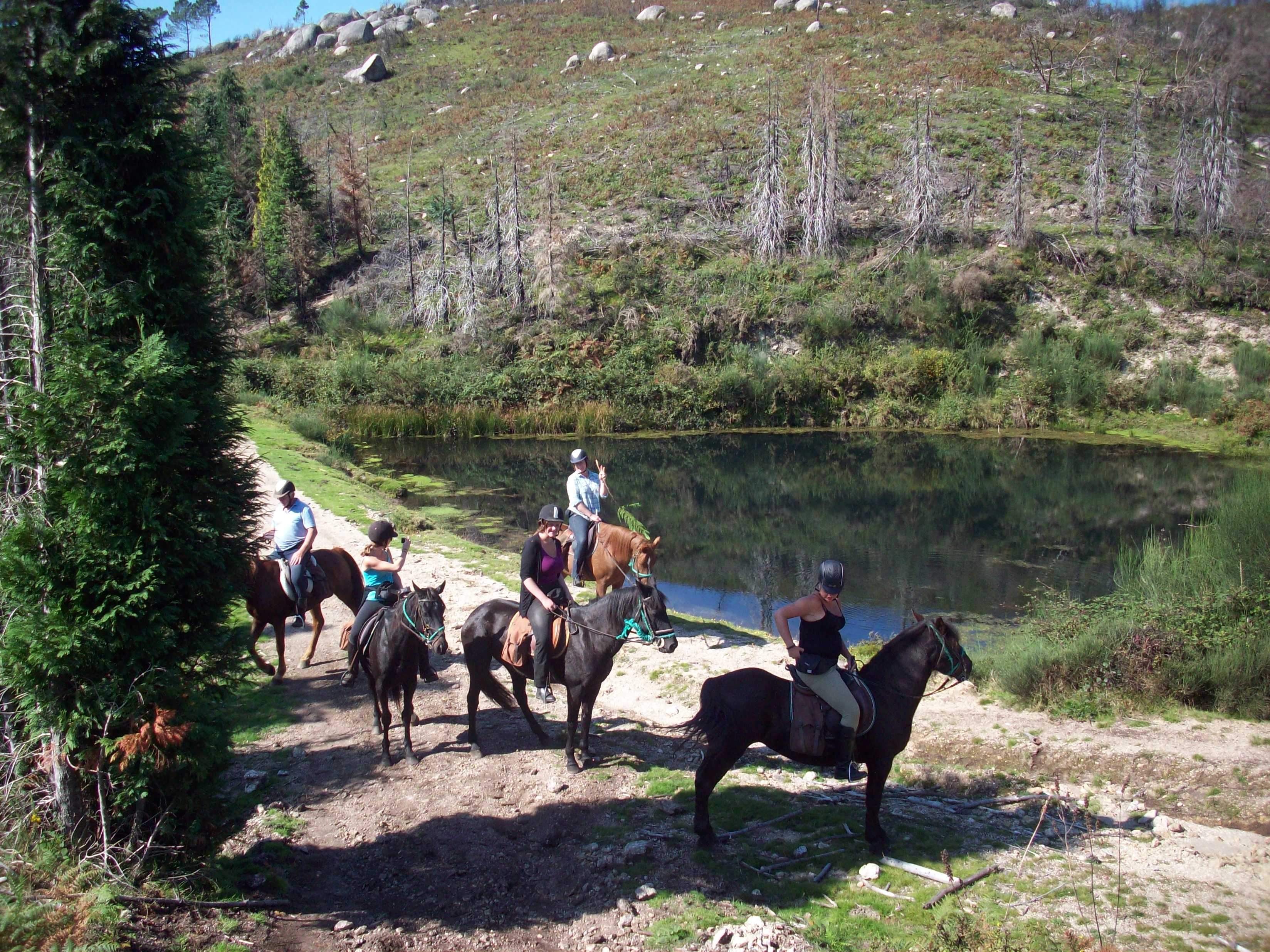 The Wild North Trail - horseXperiences™ GO EQUESTRIAN