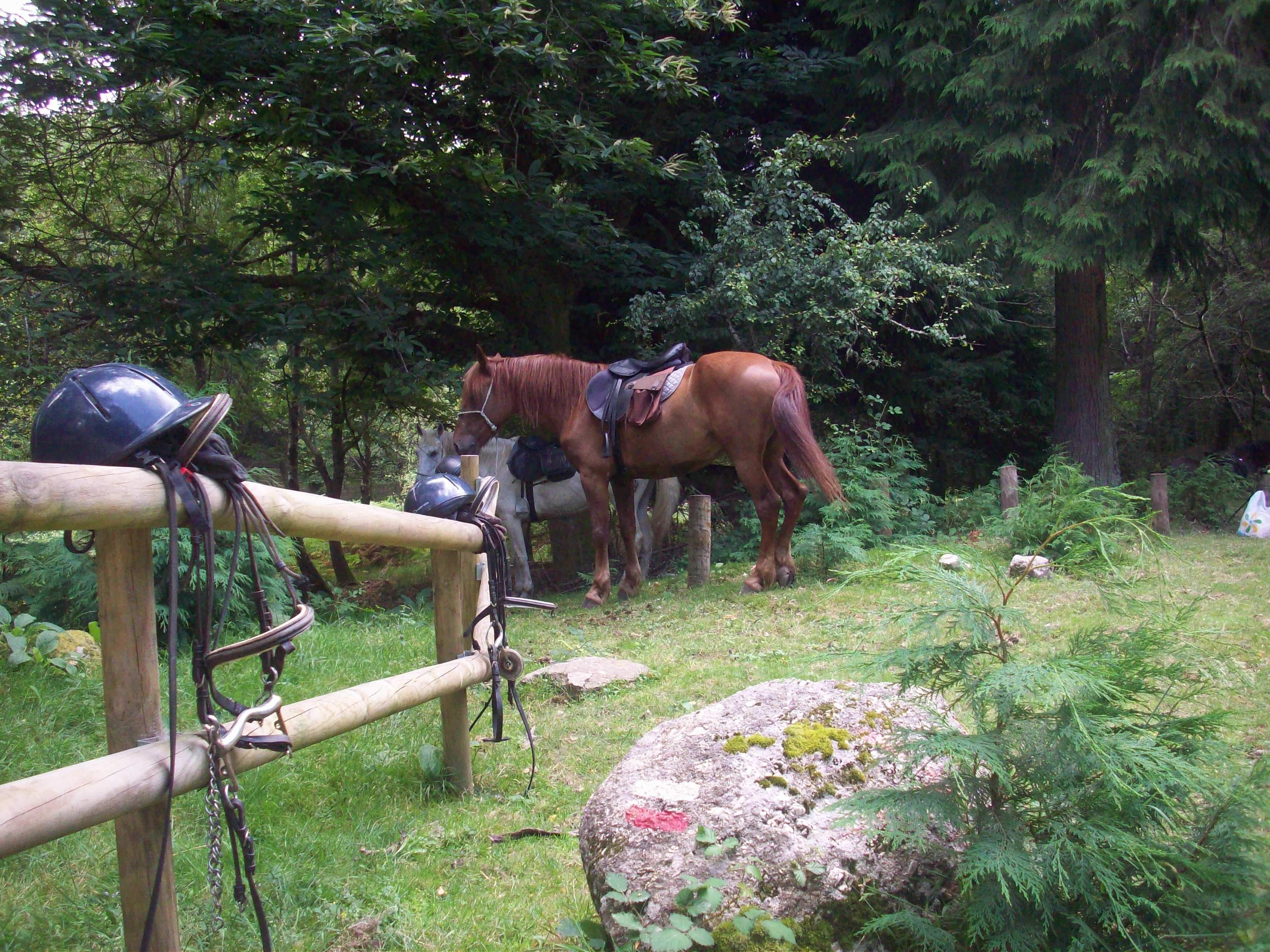 The Wild North Trail - horseXperiences™ GO EQUESTRIAN